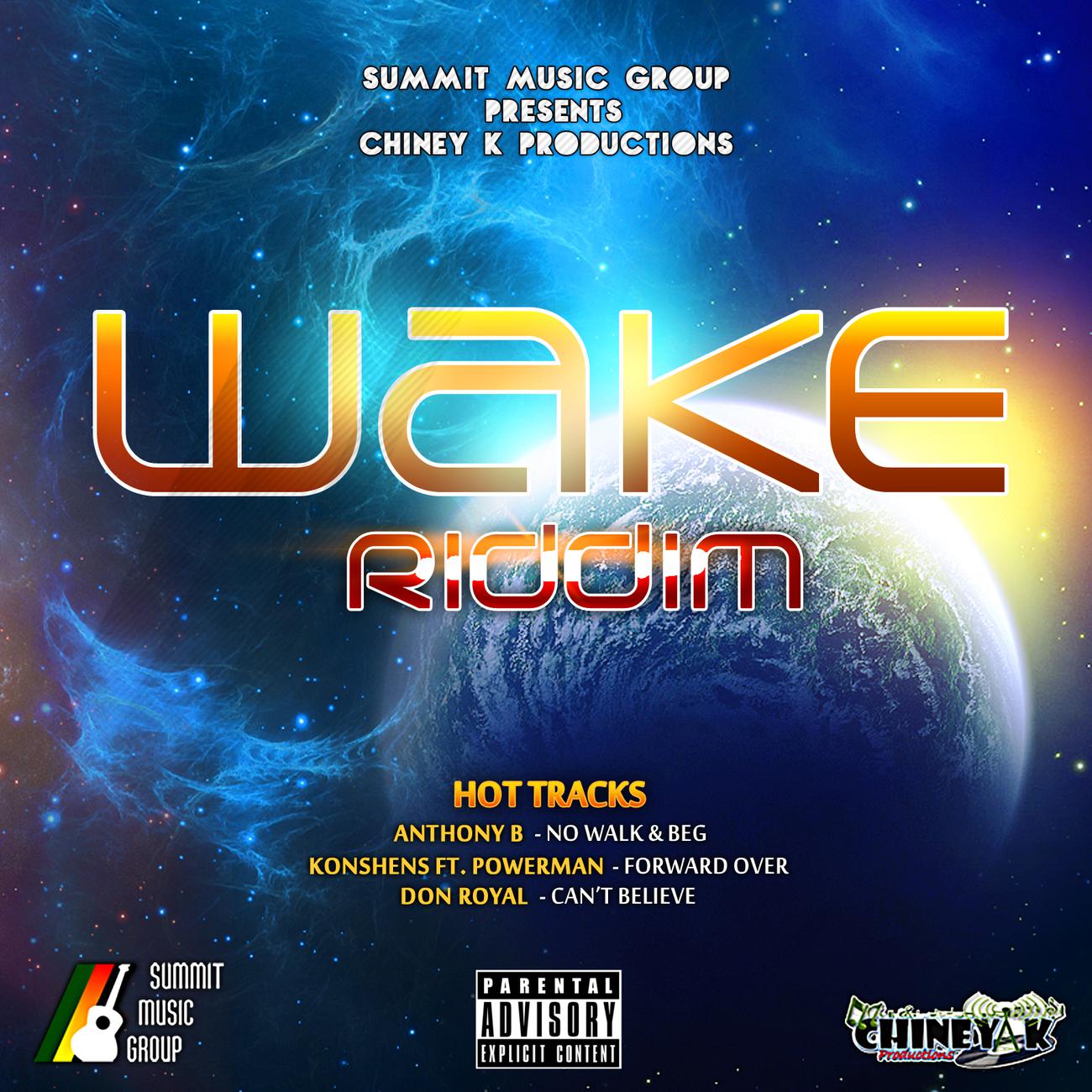 Постер альбома Wake Riddim