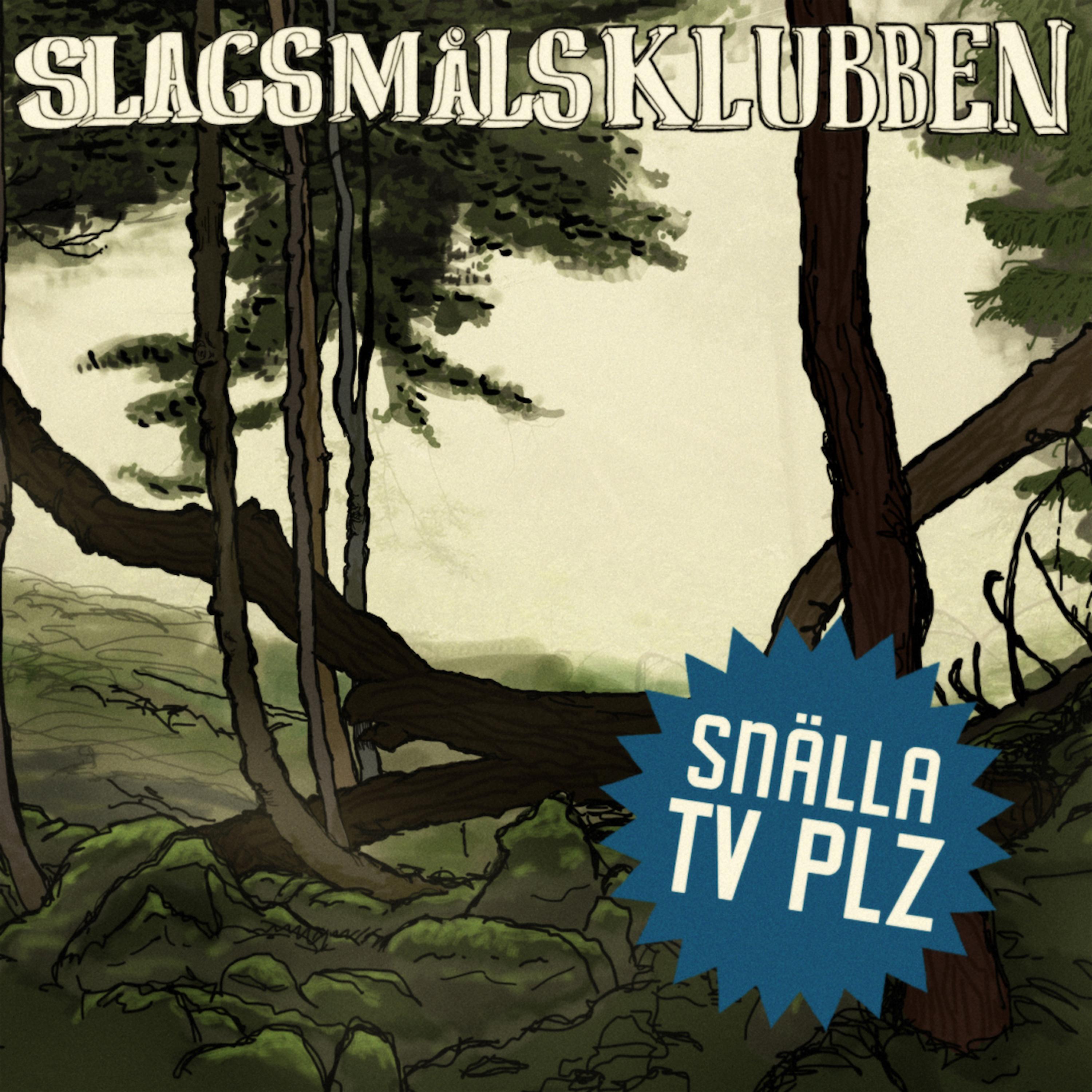 Постер альбома Snälla Tv Plz