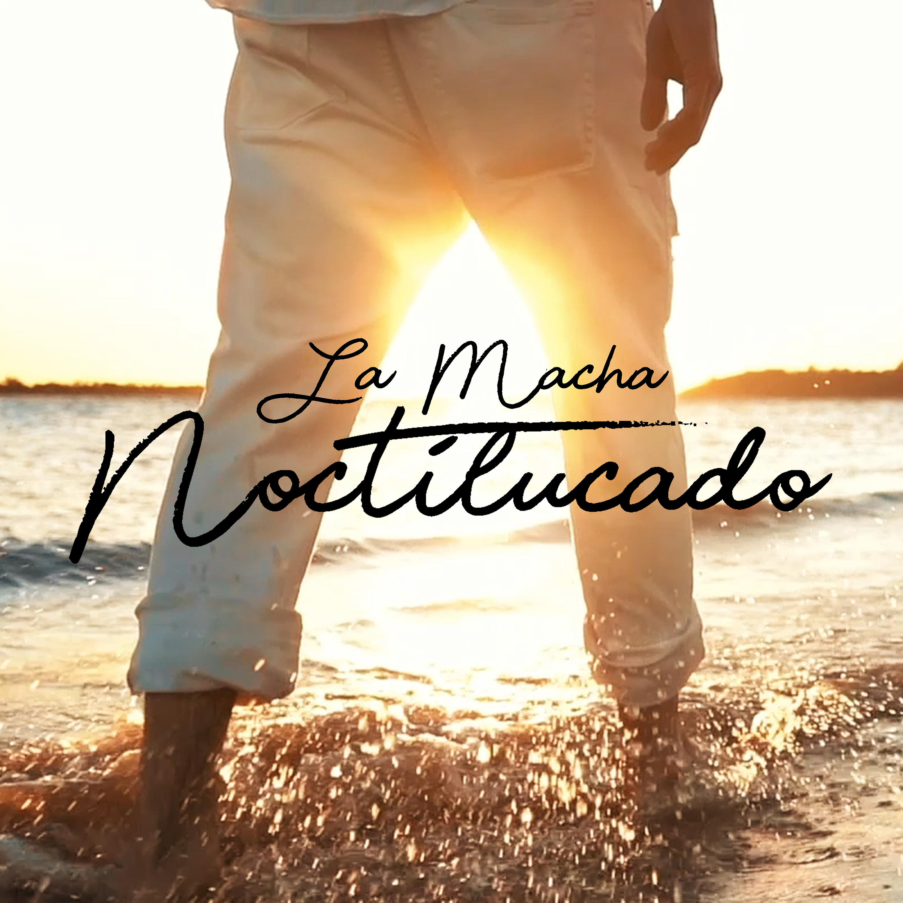 Постер альбома Noctilucado
