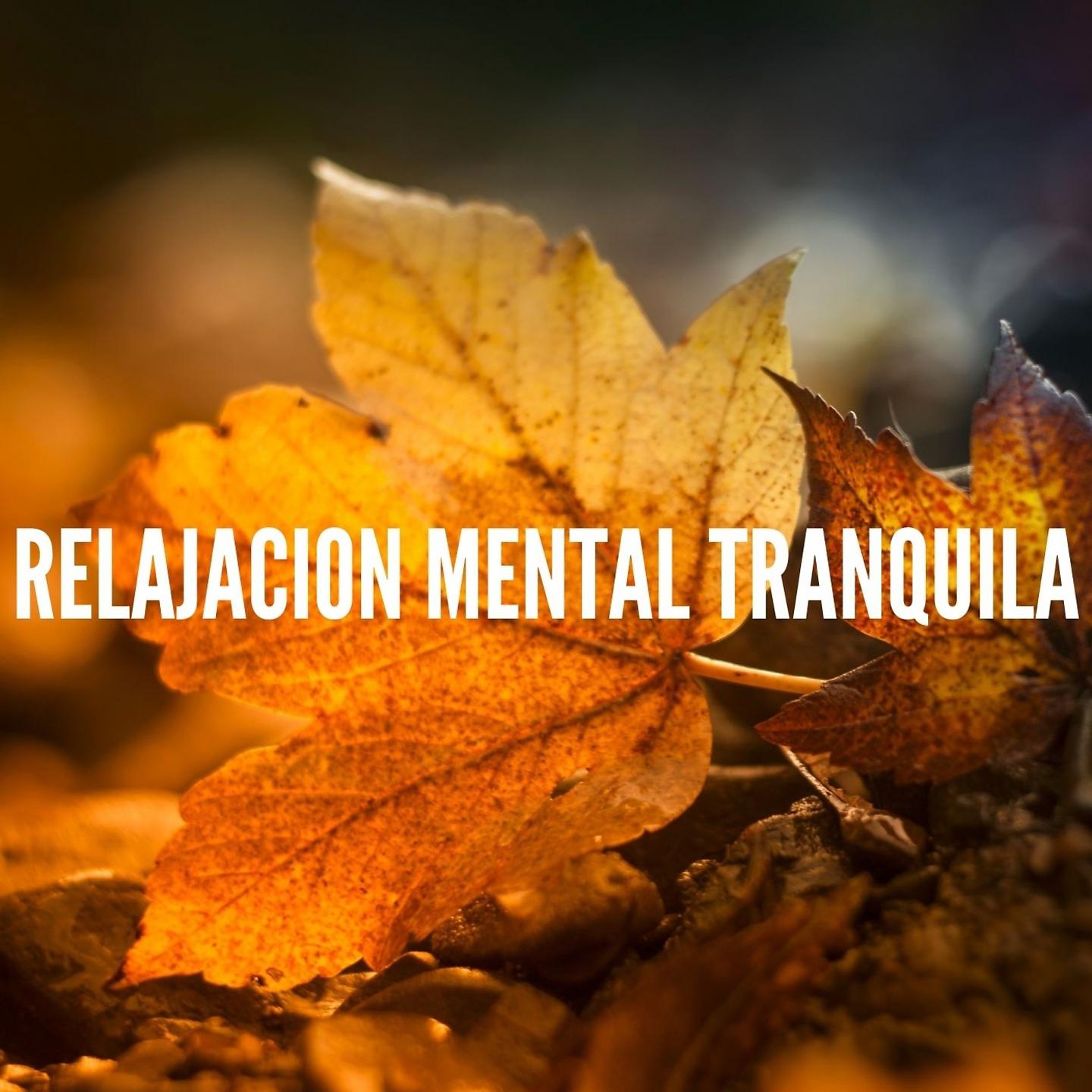 Постер альбома Relajacion Mental Tranquila