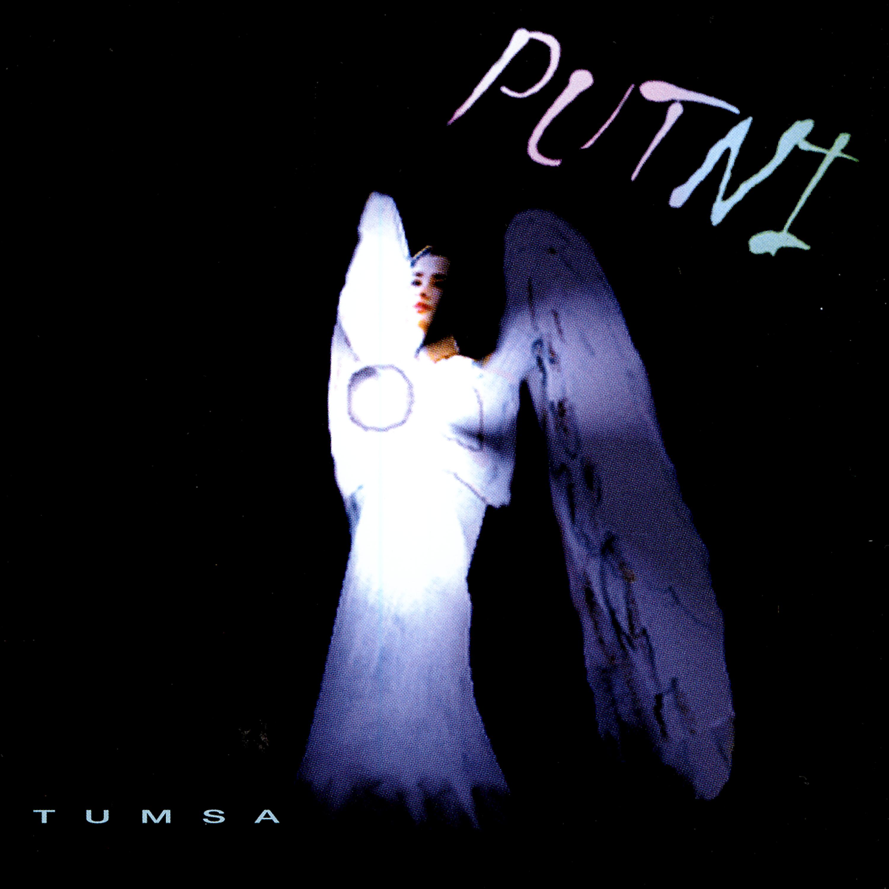 Постер альбома Putni