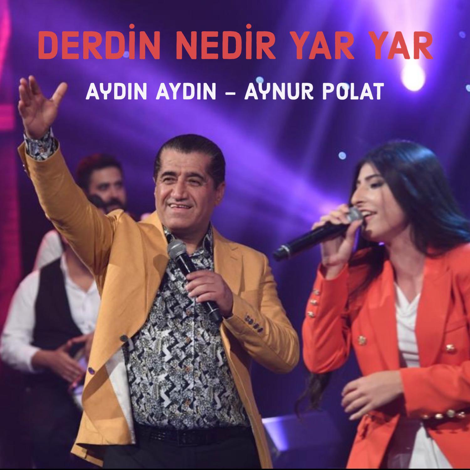 Постер альбома Derdin Nedir Yar Yar