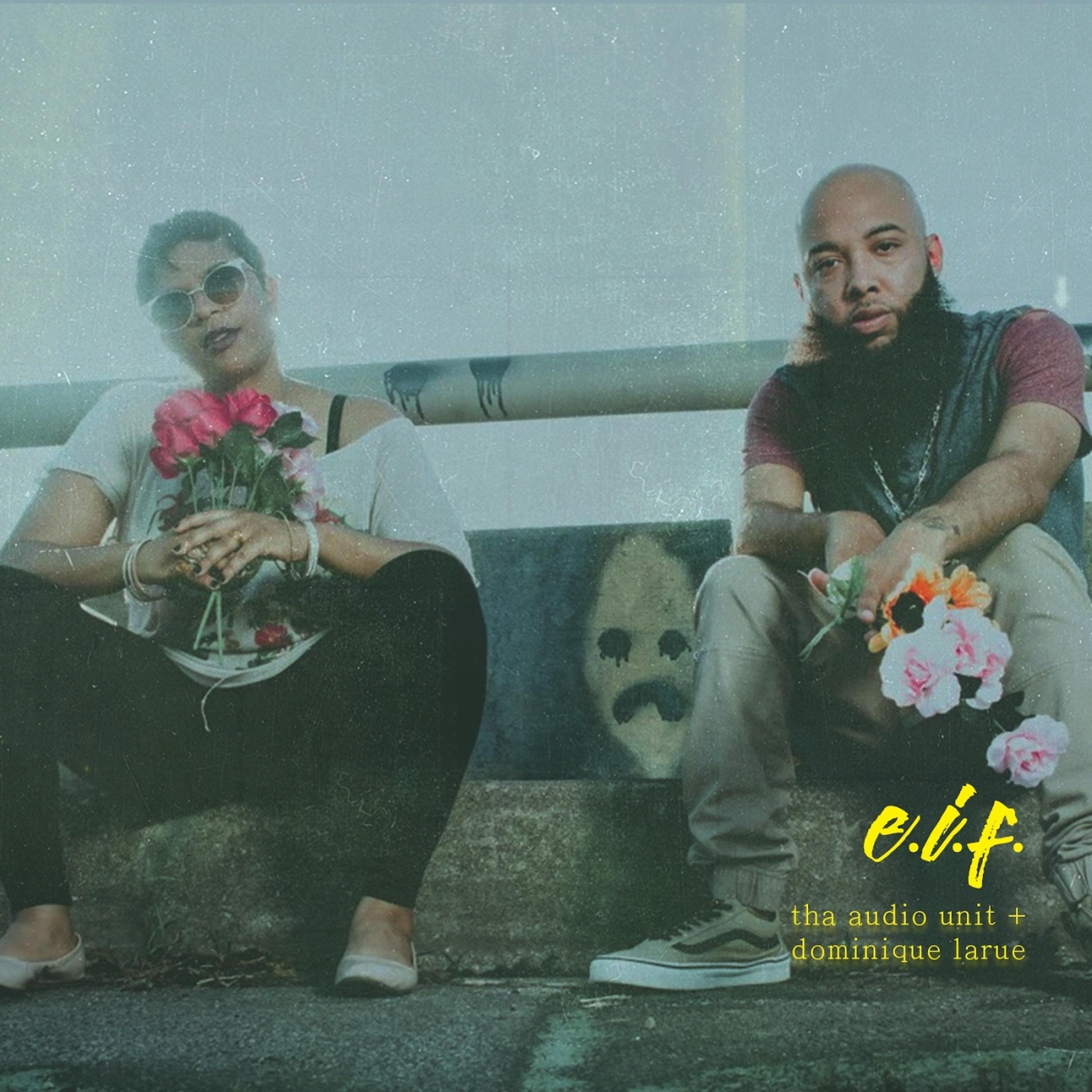 Постер альбома E.I.F (Instrumental)