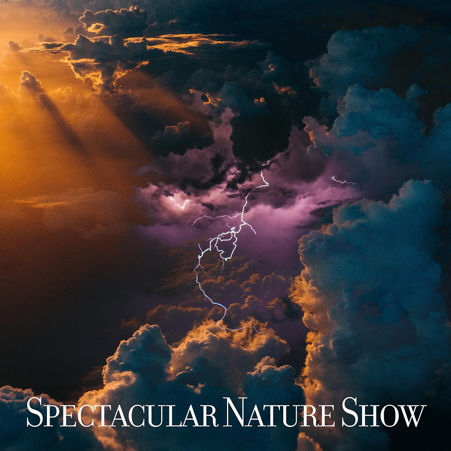 Постер альбома Spectacular Nature Show