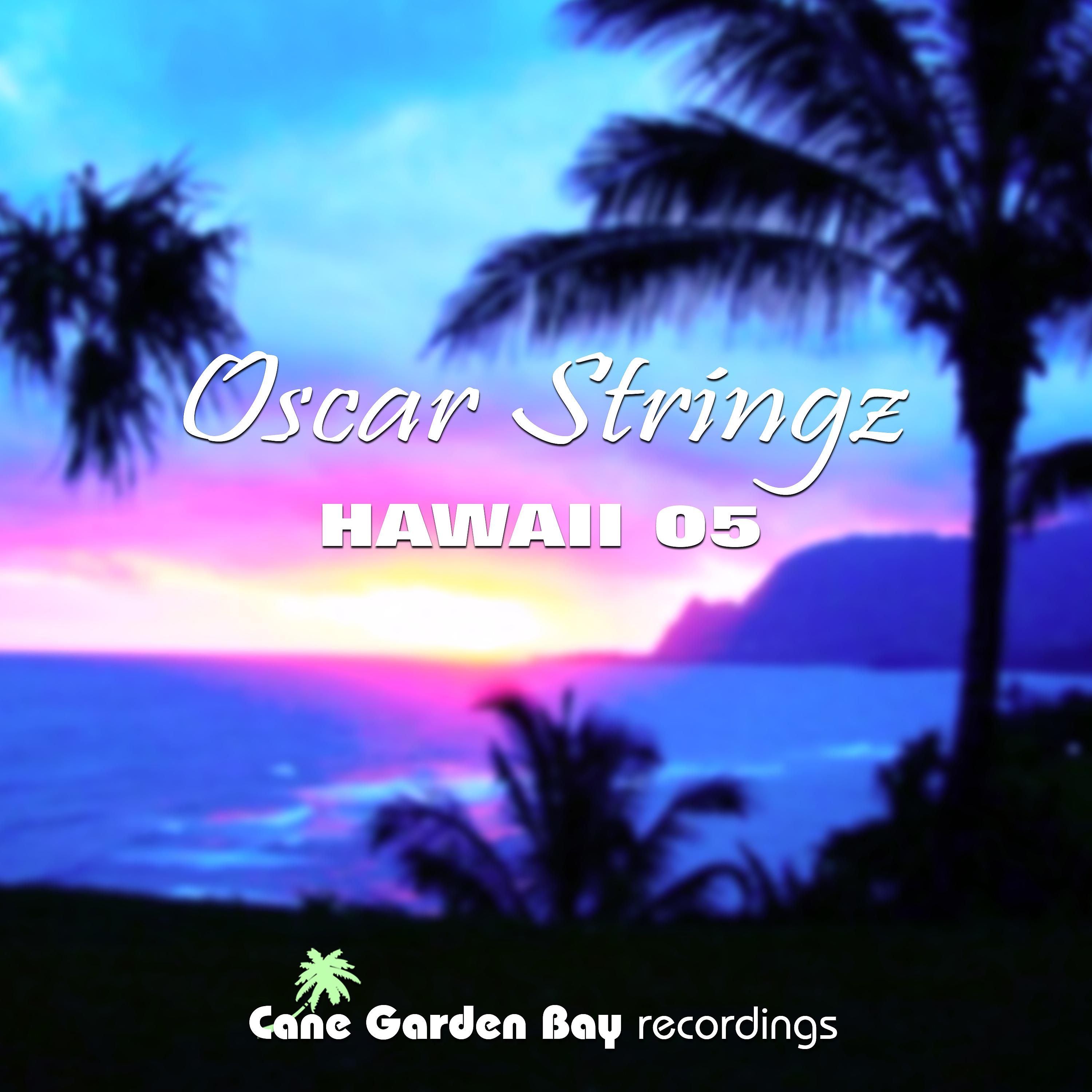 Постер альбома Hawaii 05