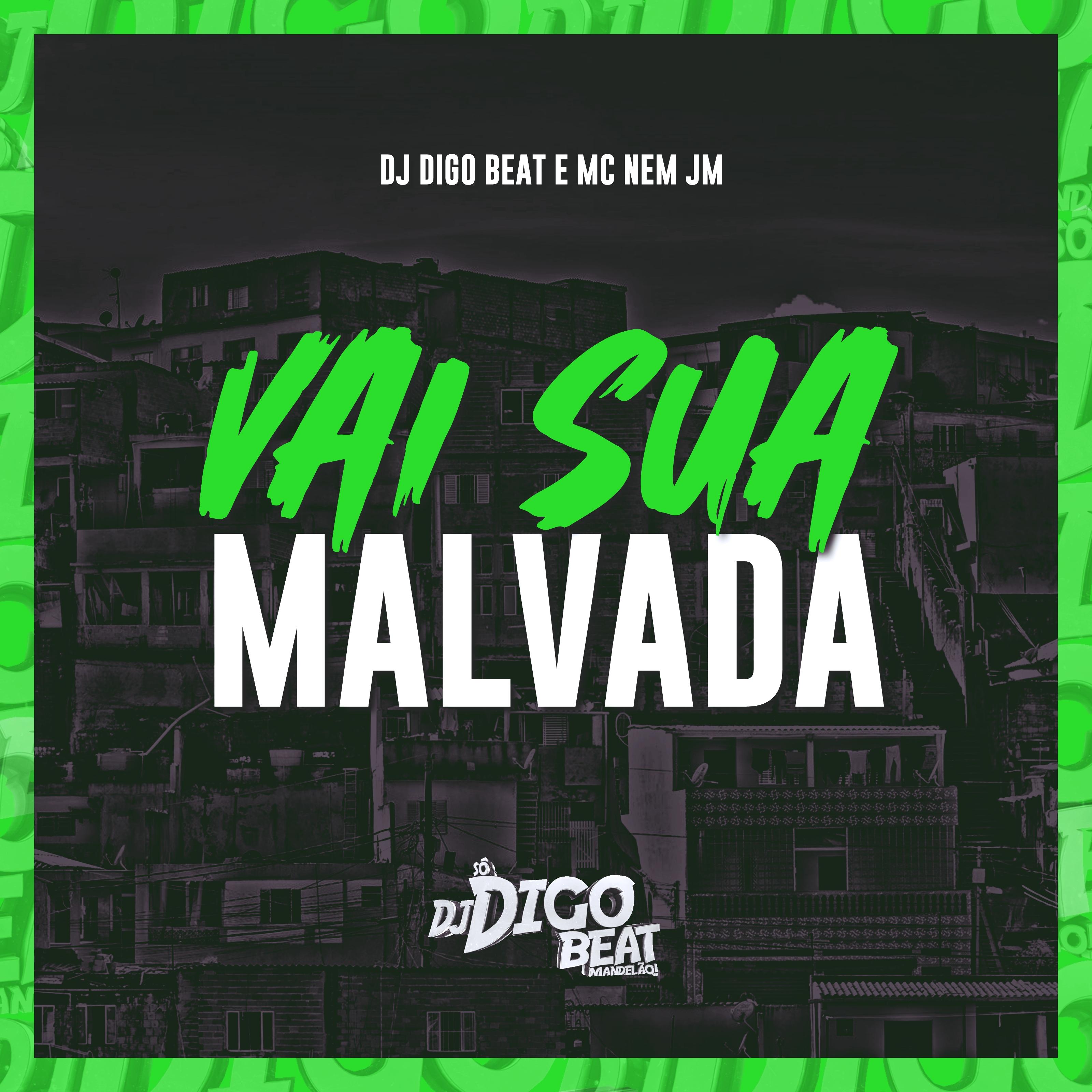 Постер альбома Vai Sua Malvada