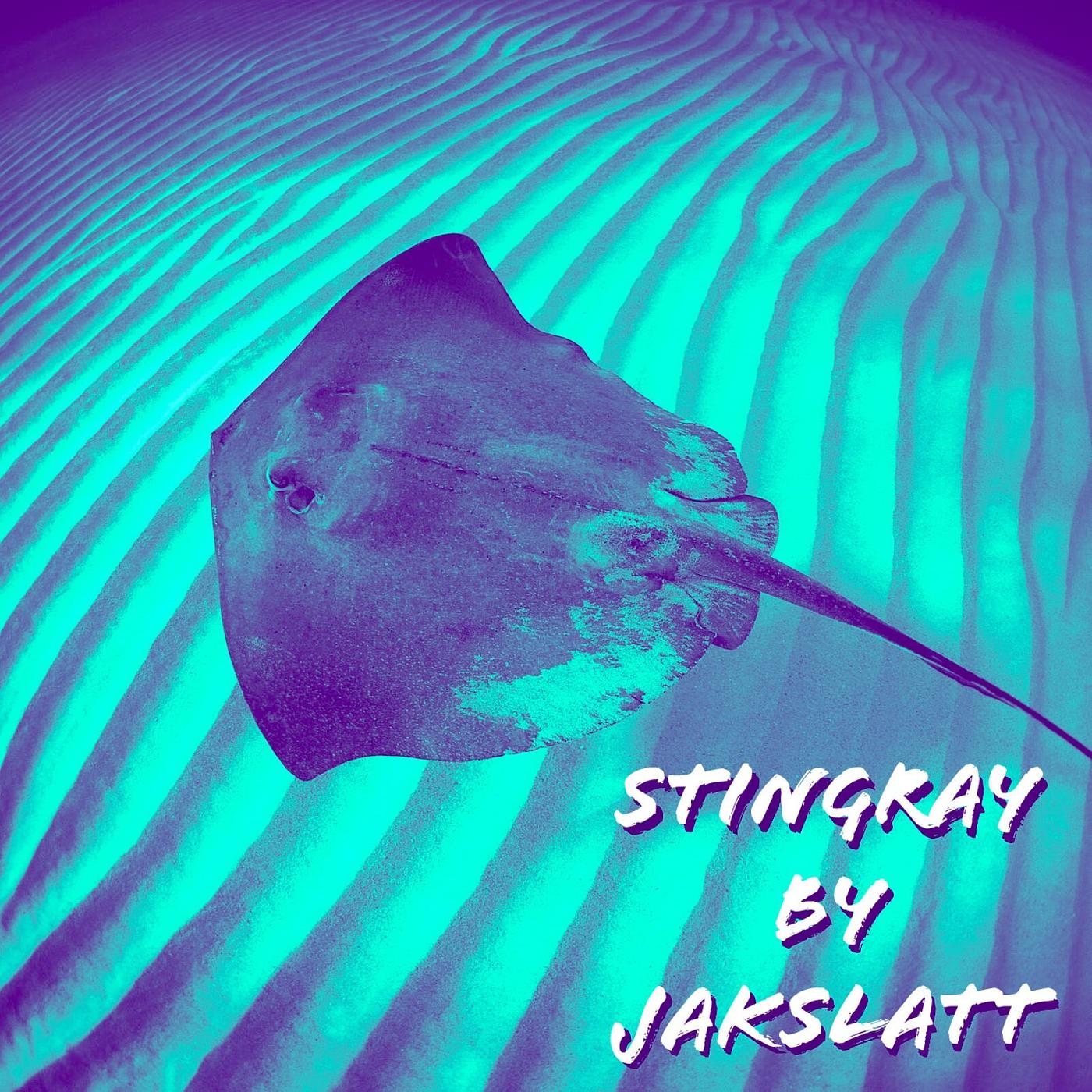 Постер альбома Stingray