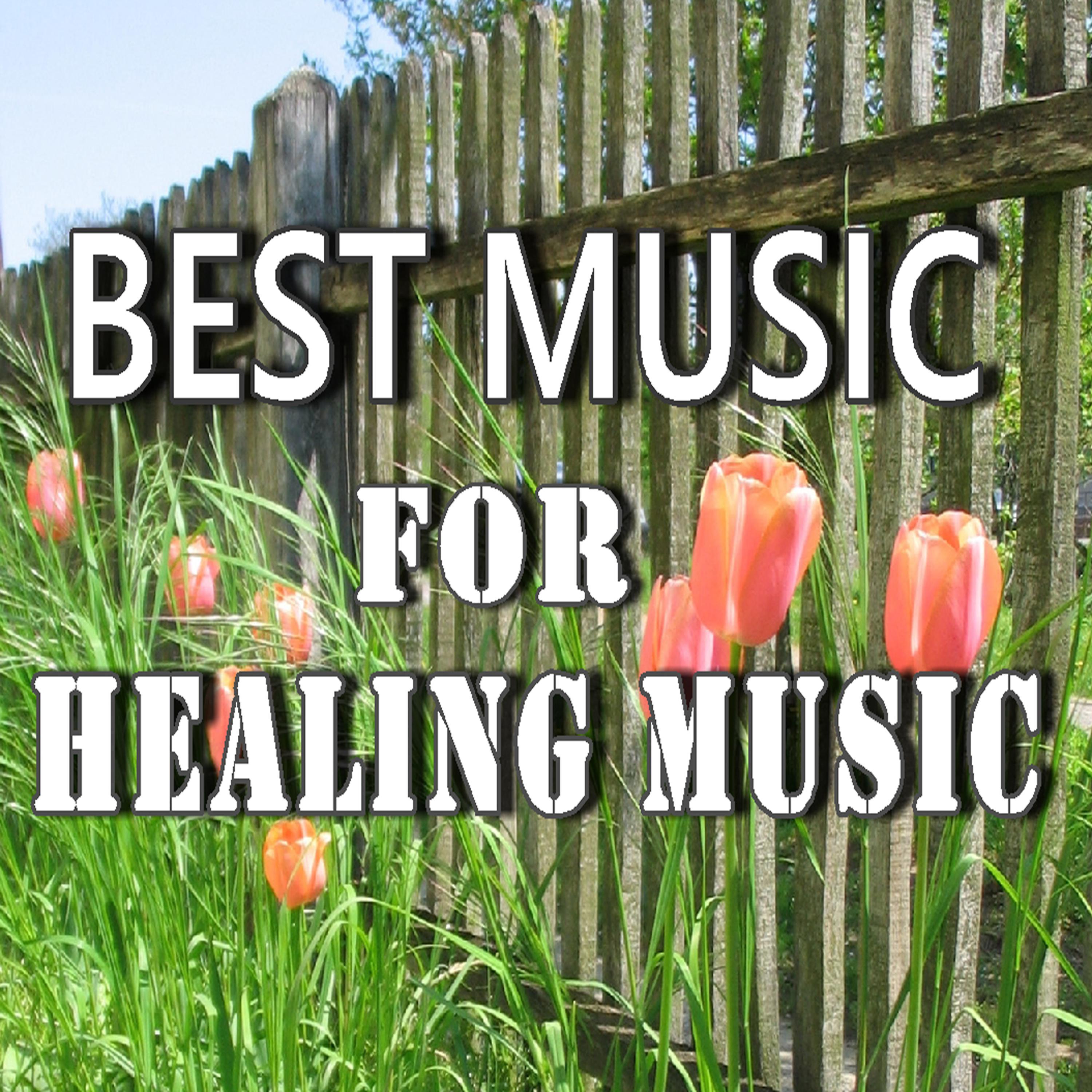 Постер альбома Best Music for Healing Music