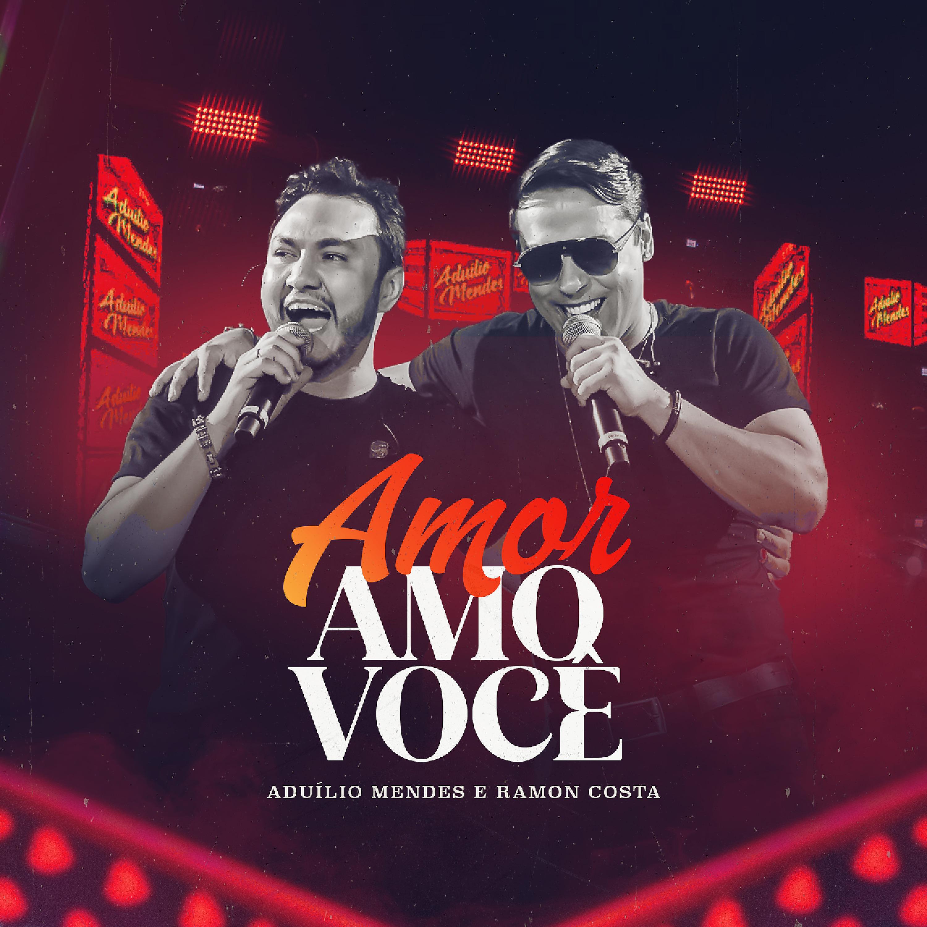 Постер альбома Amor Amo Você