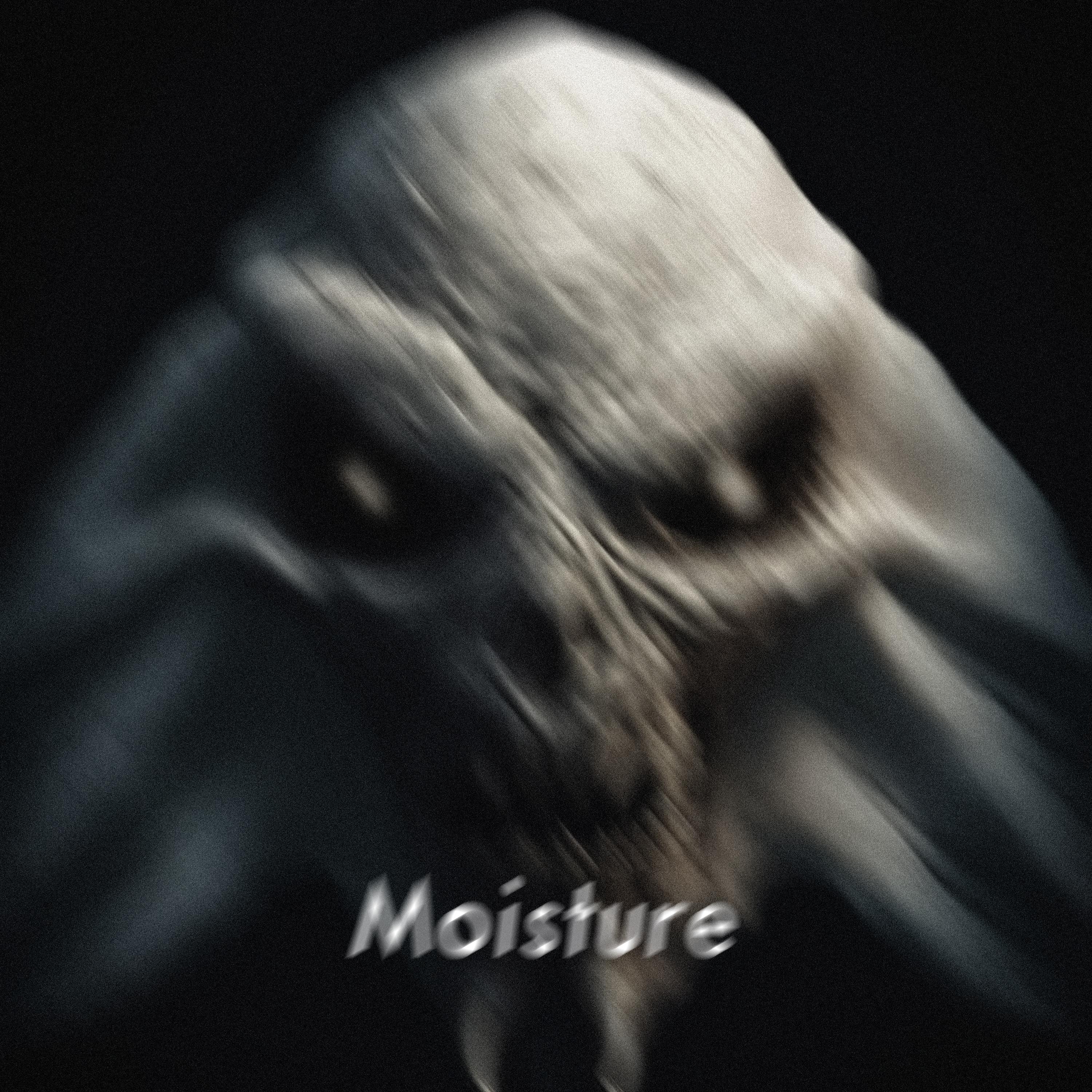 Постер альбома Moisture