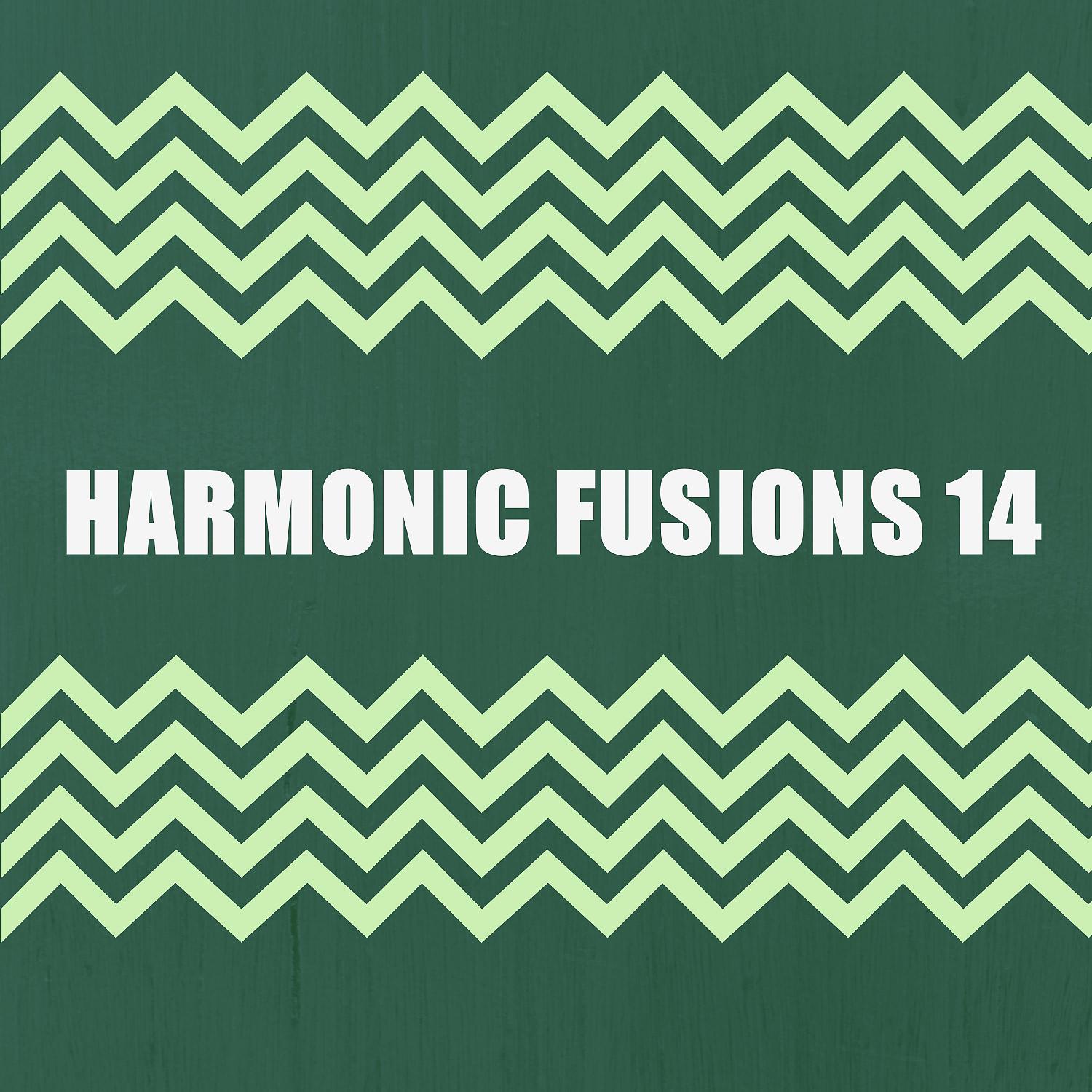 Постер альбома HARMONIC FUSIONS 14