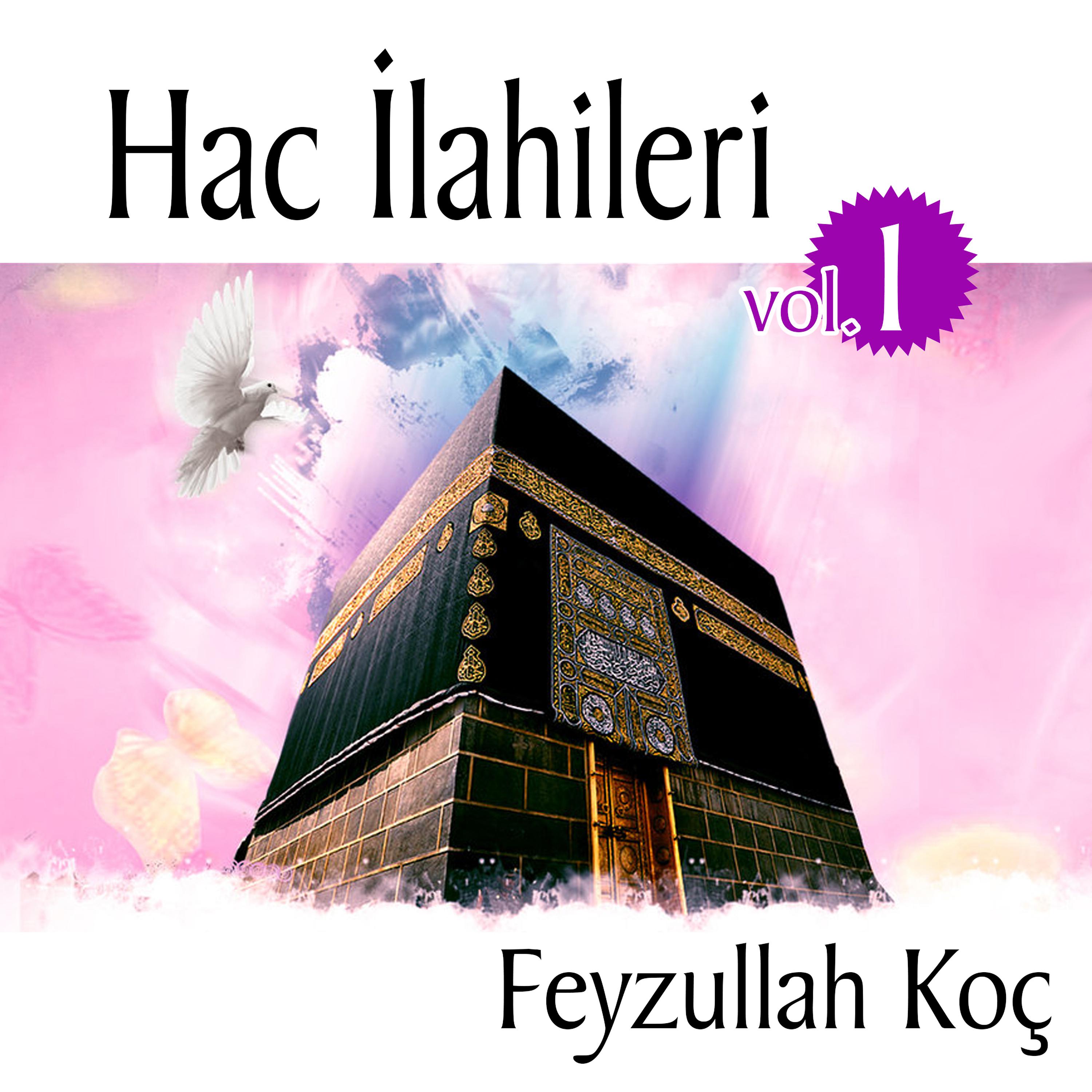 Постер альбома Hac İlahileri, Vol. 1