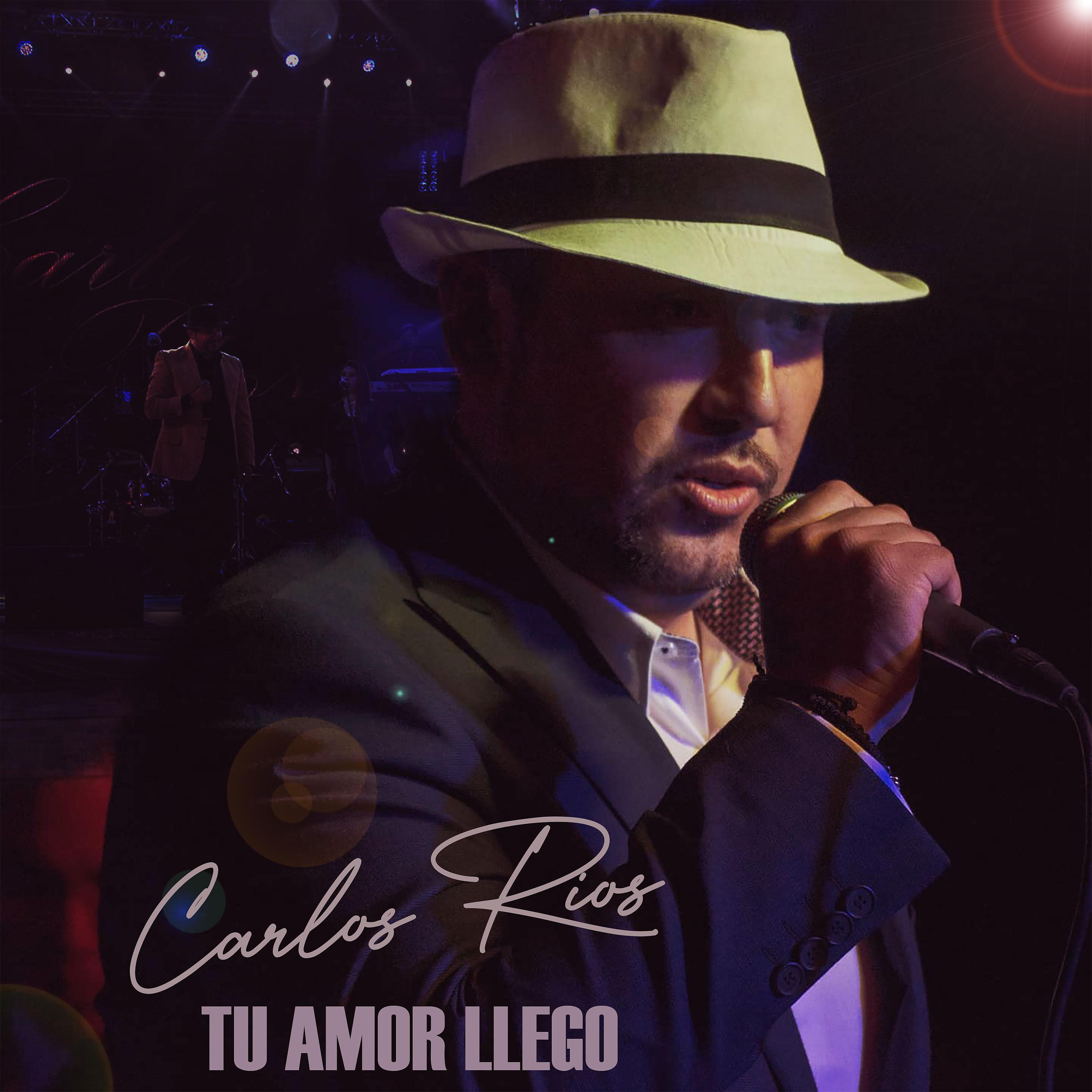 Постер альбома Tu Amor Llego