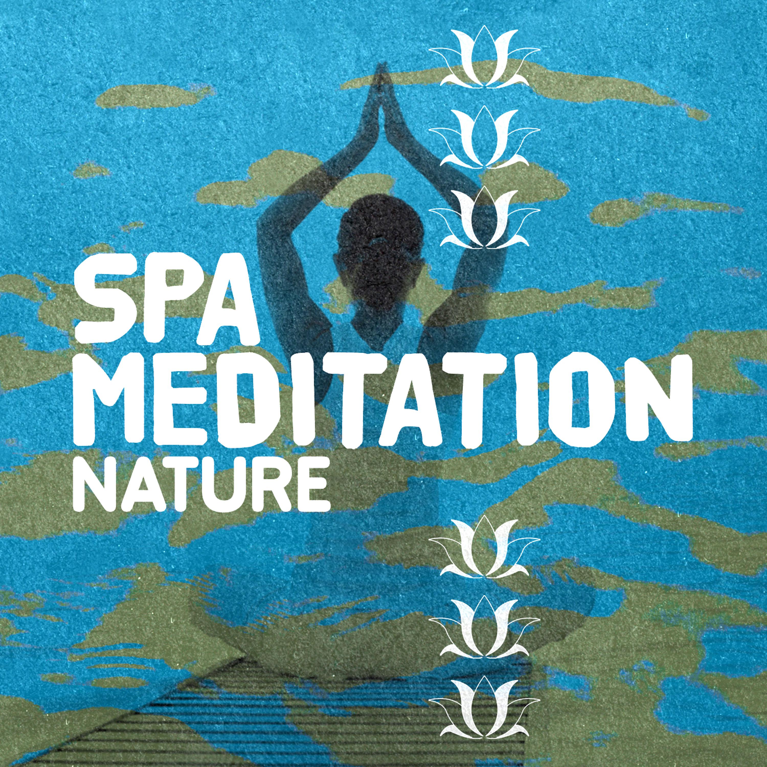 Постер альбома Spa Meditation: Nature