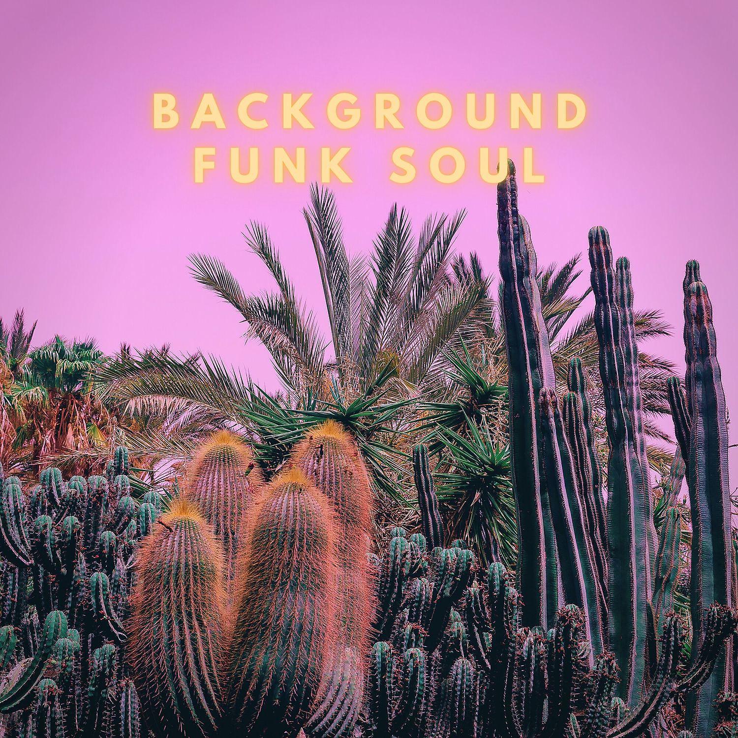 Постер альбома Background Funk Soul