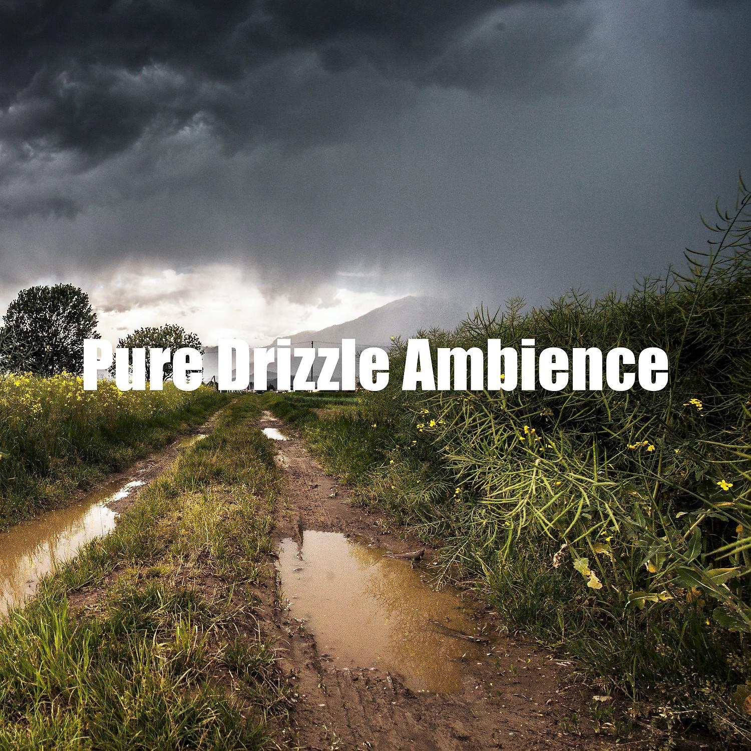 Постер альбома Pure Drizzle Ambience