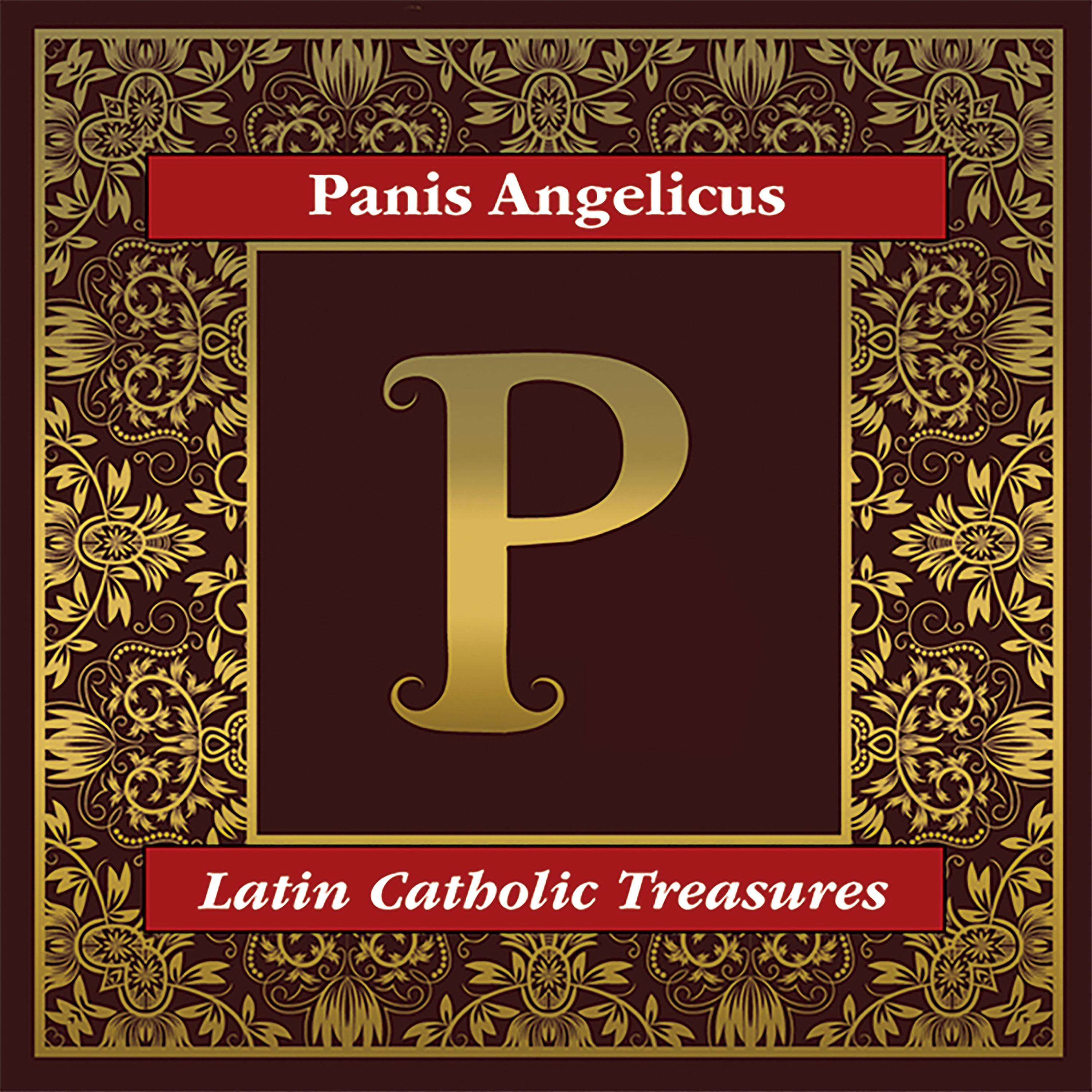 Постер альбома Panis Angelicus: Latin Catholic Treasures