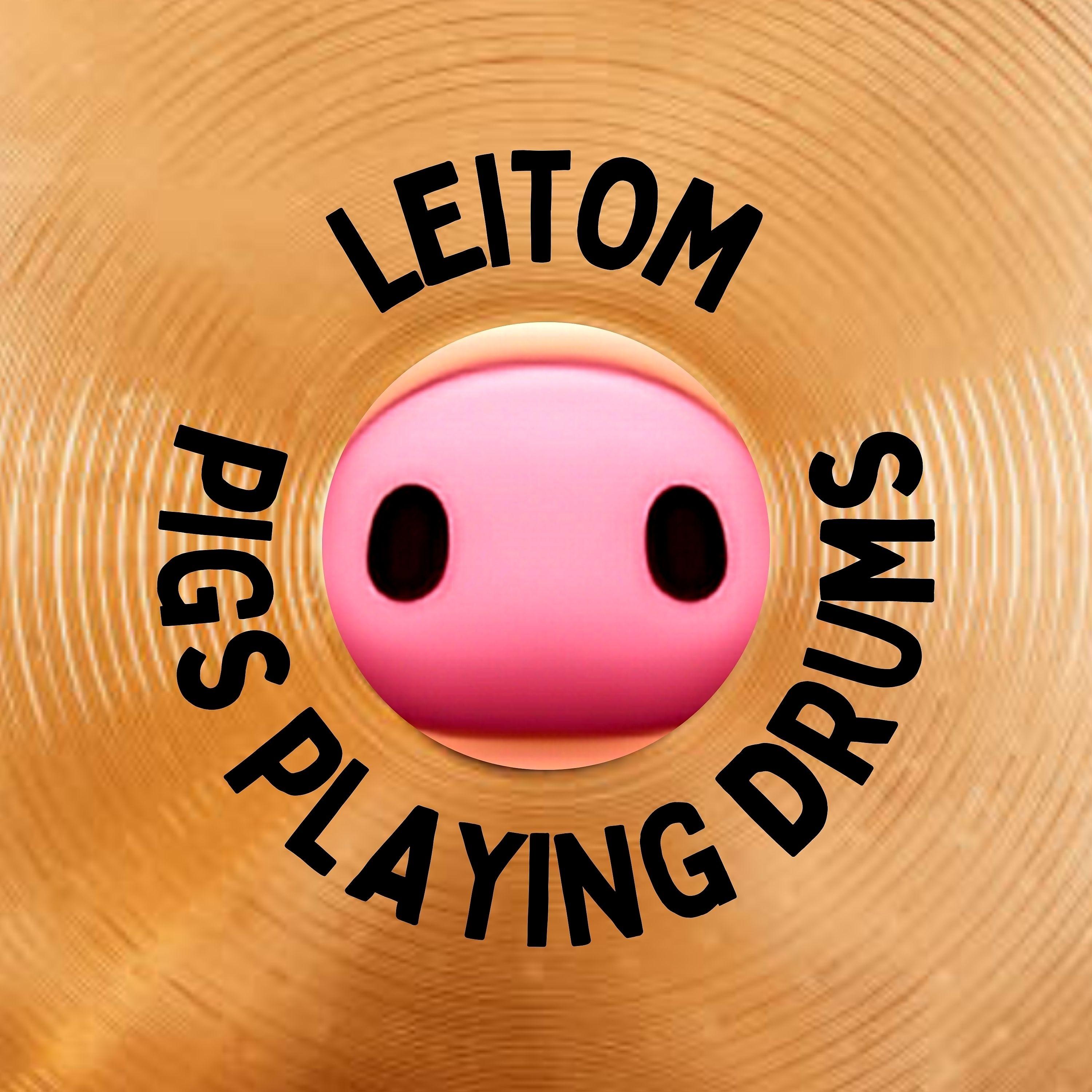Постер альбома Pigs Playing Drums