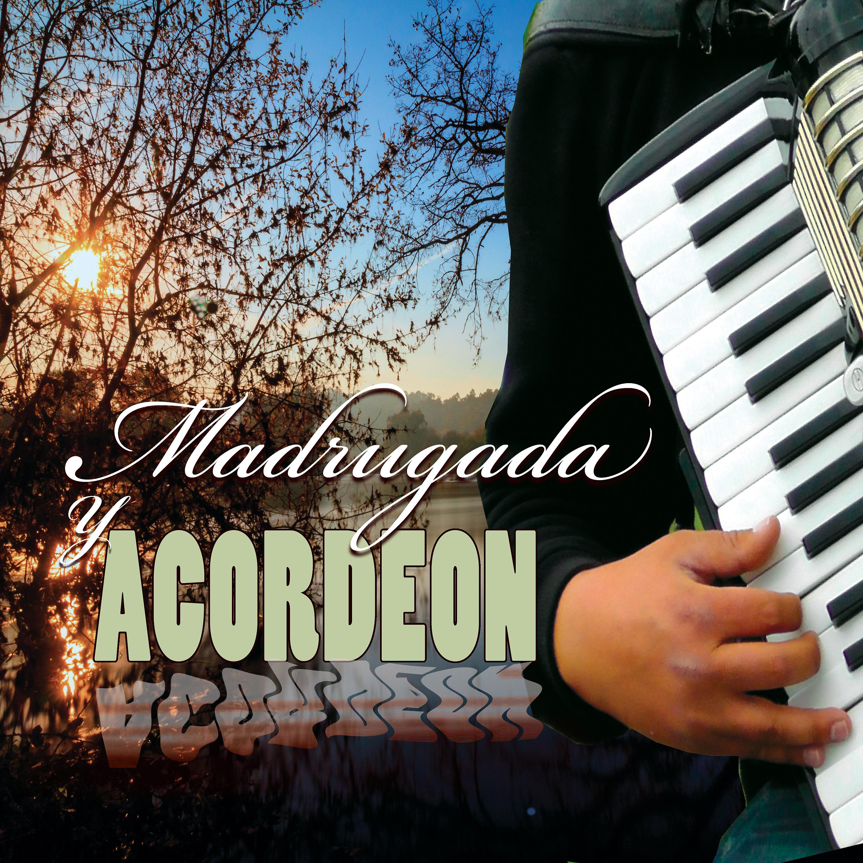 Постер альбома Madrugada y Acordeón