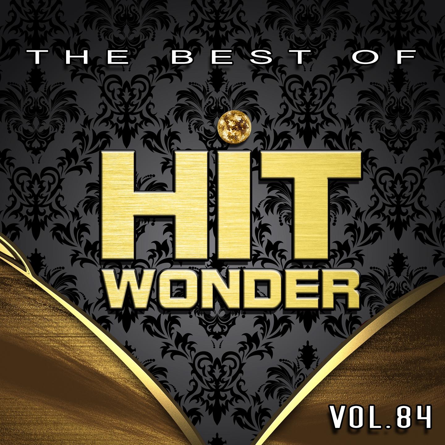 Постер альбома Hit Wonder: The Best of, Vol. 84