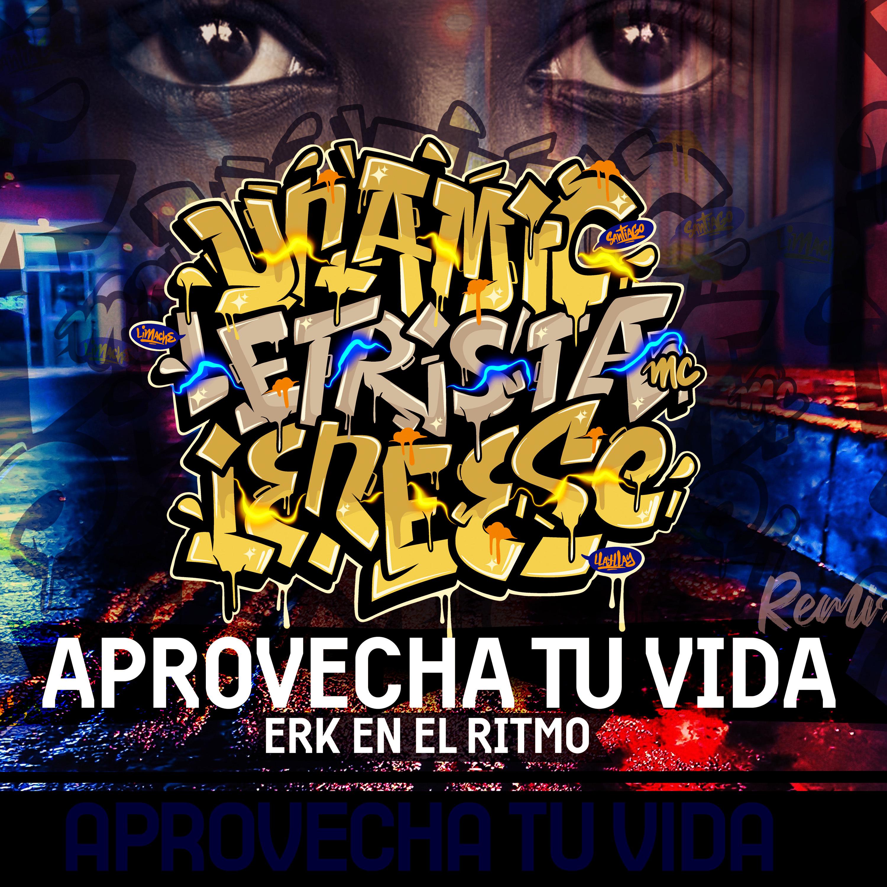 Постер альбома Aprovecha Tu Vida (Remix)