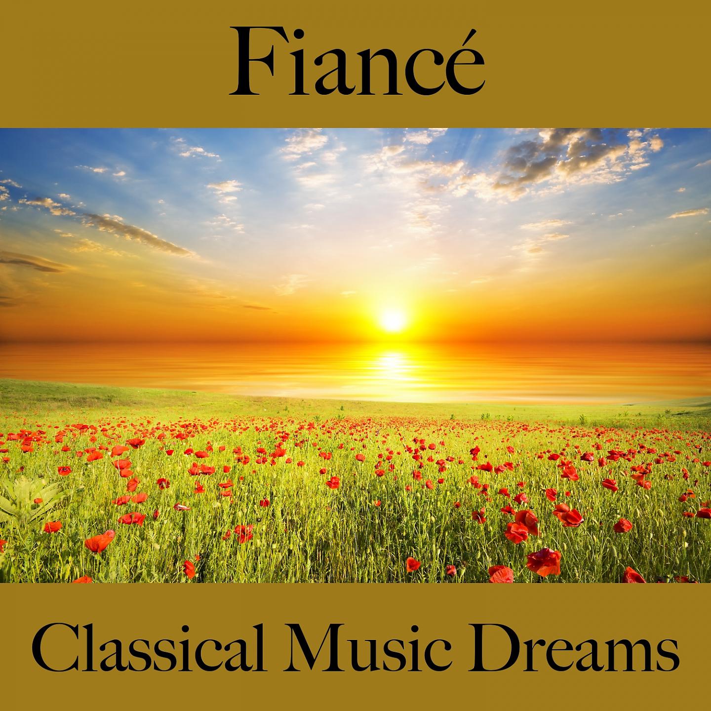 Постер альбома Fiancé: Classical Music Dreams - La Meilleure Musique Pour Les Moments À Deux