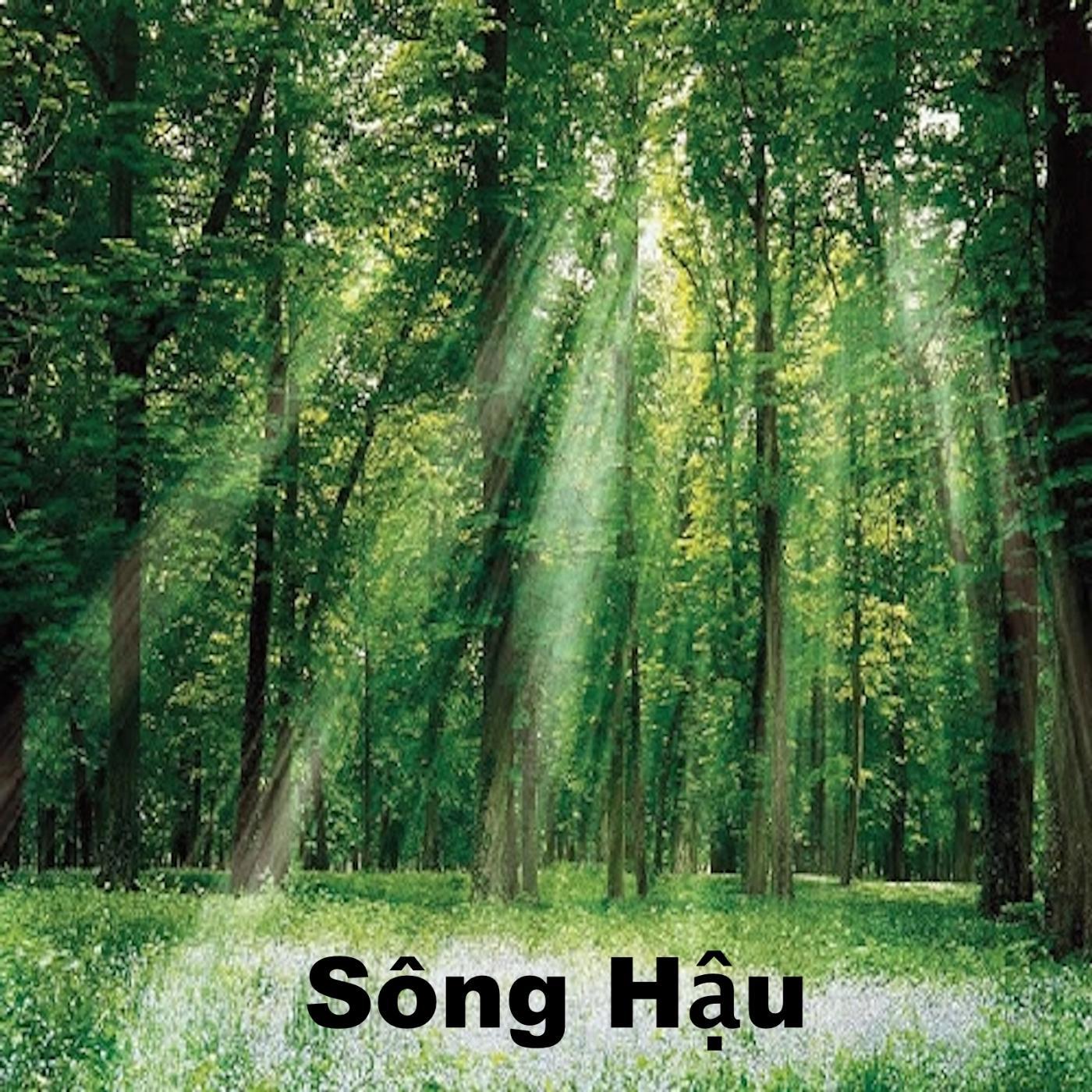Постер альбома Sông Hậu