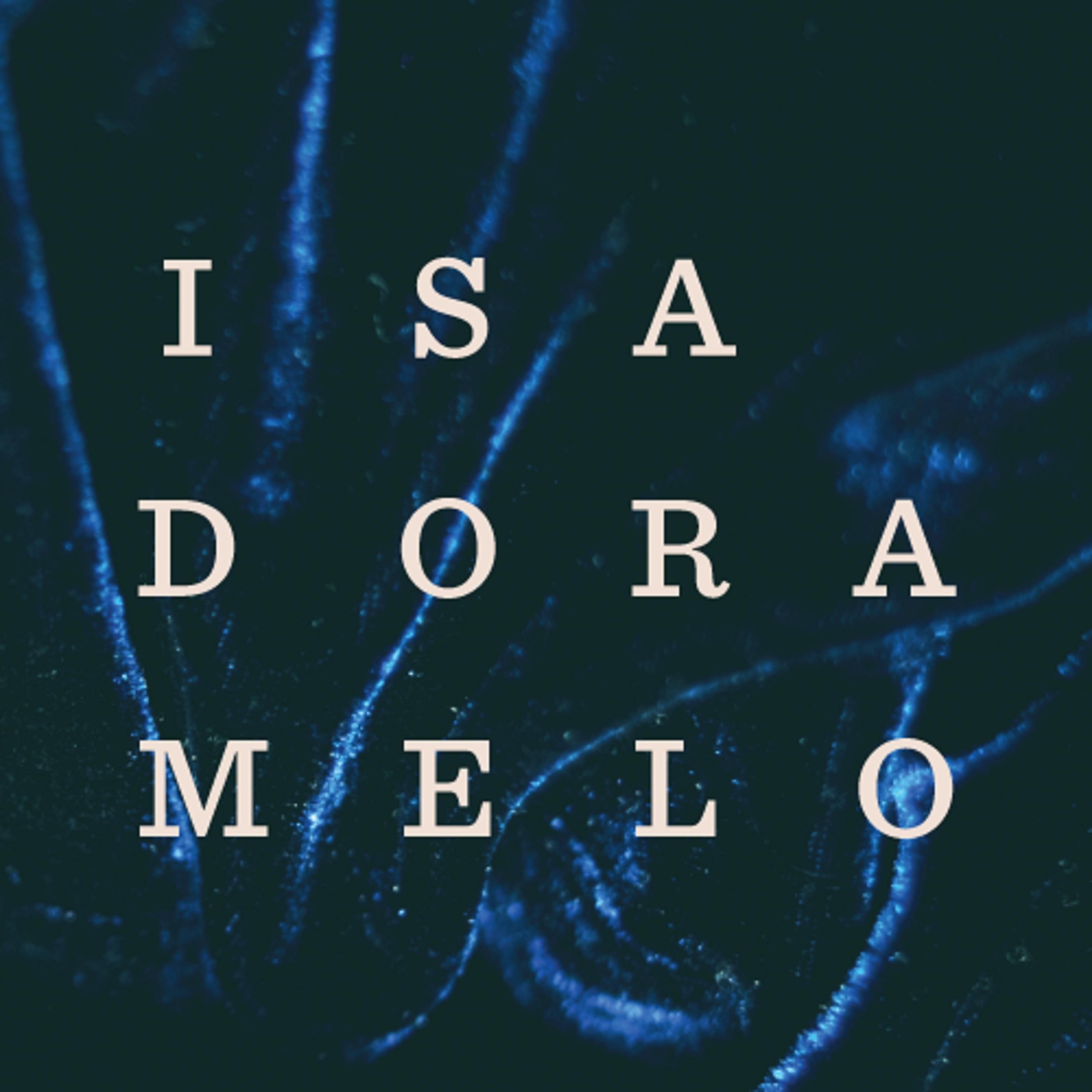 Постер альбома Vestuário