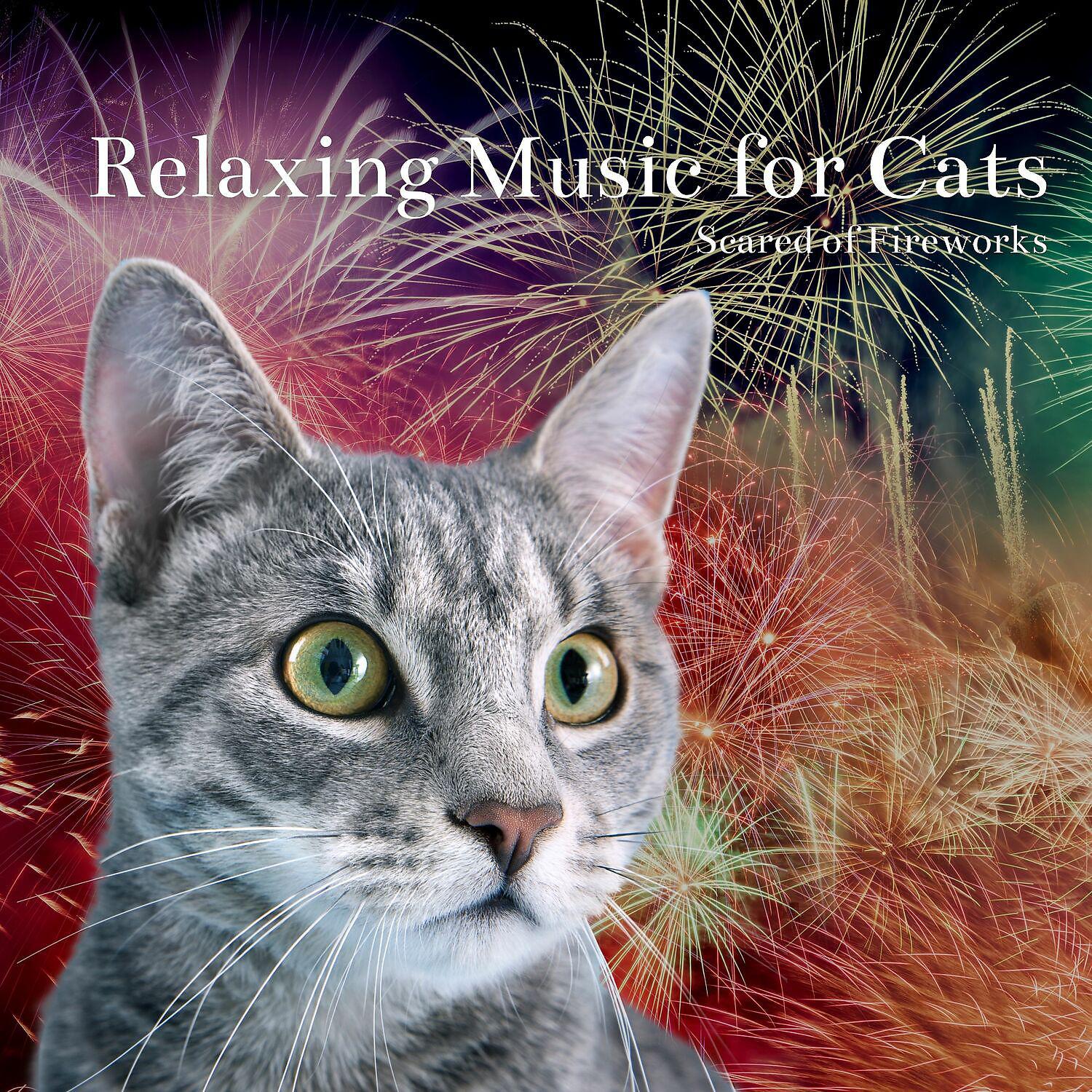 Постер альбома Relaxing Music for Cats Scared of Fireworks - Calming Music for Cats