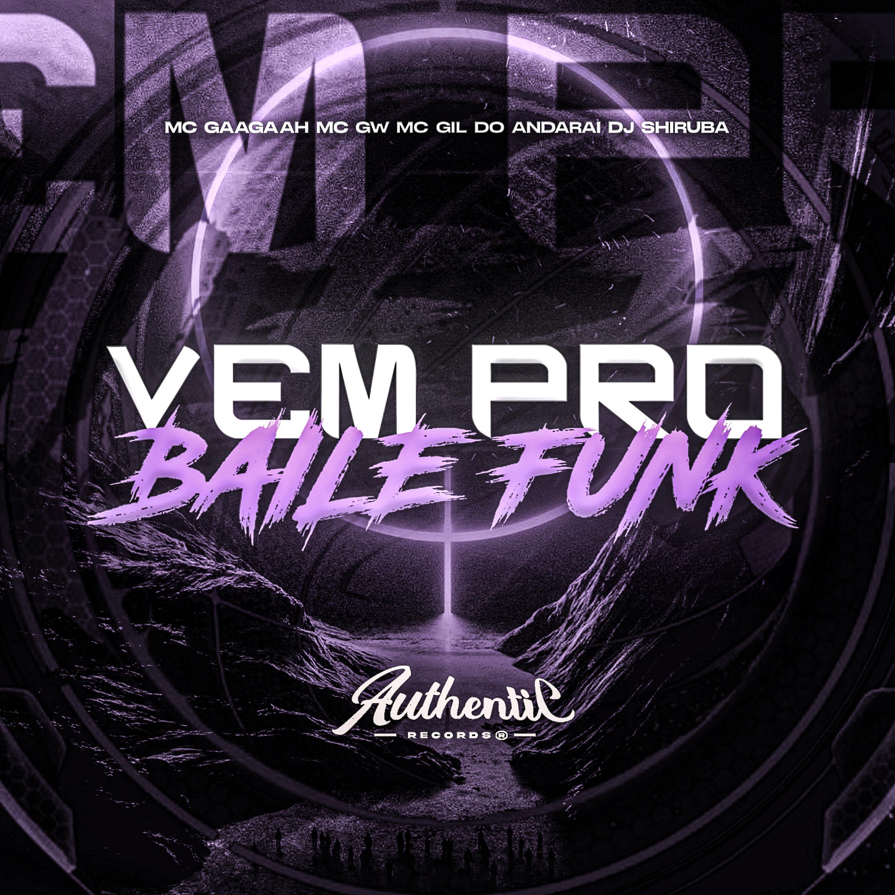 Постер альбома Vem pro Baile Funk