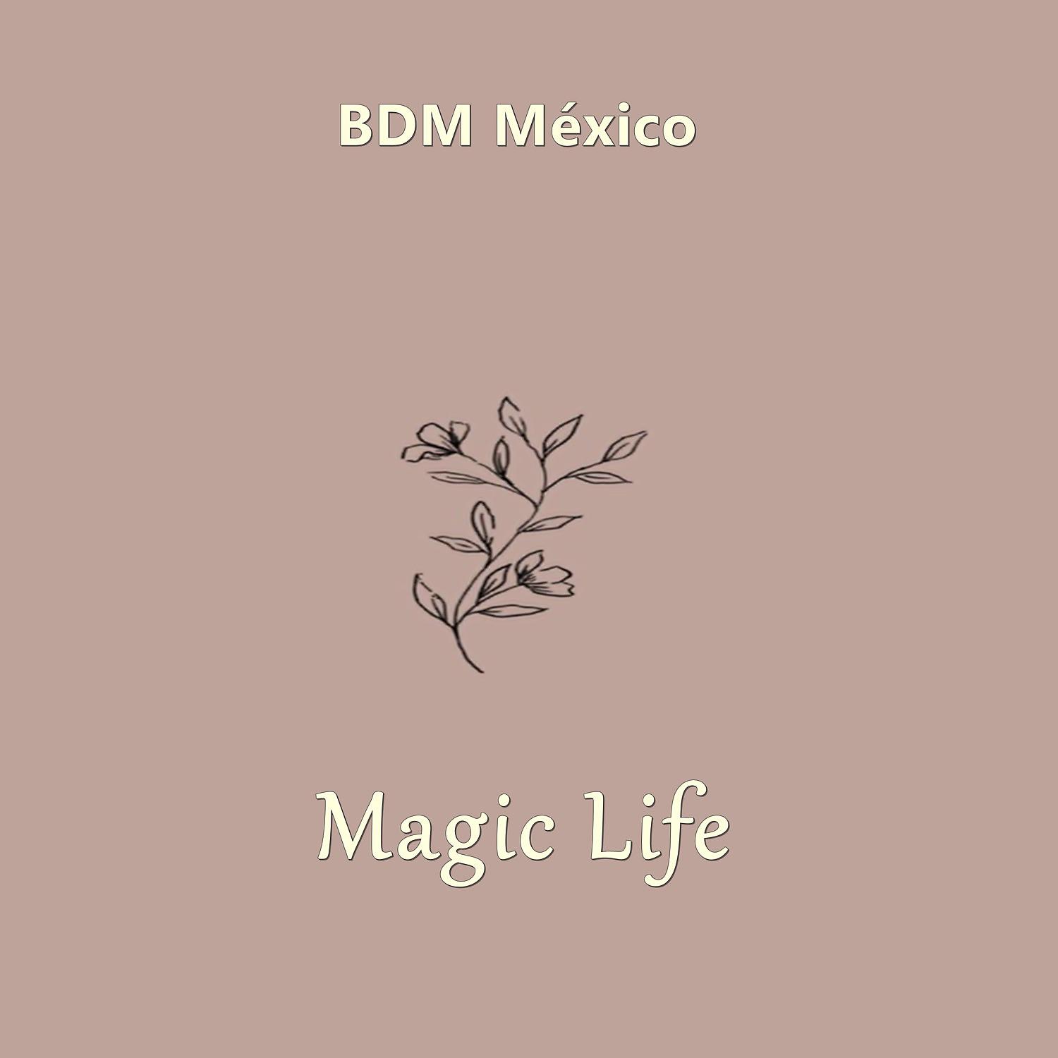 Постер альбома Magic Life