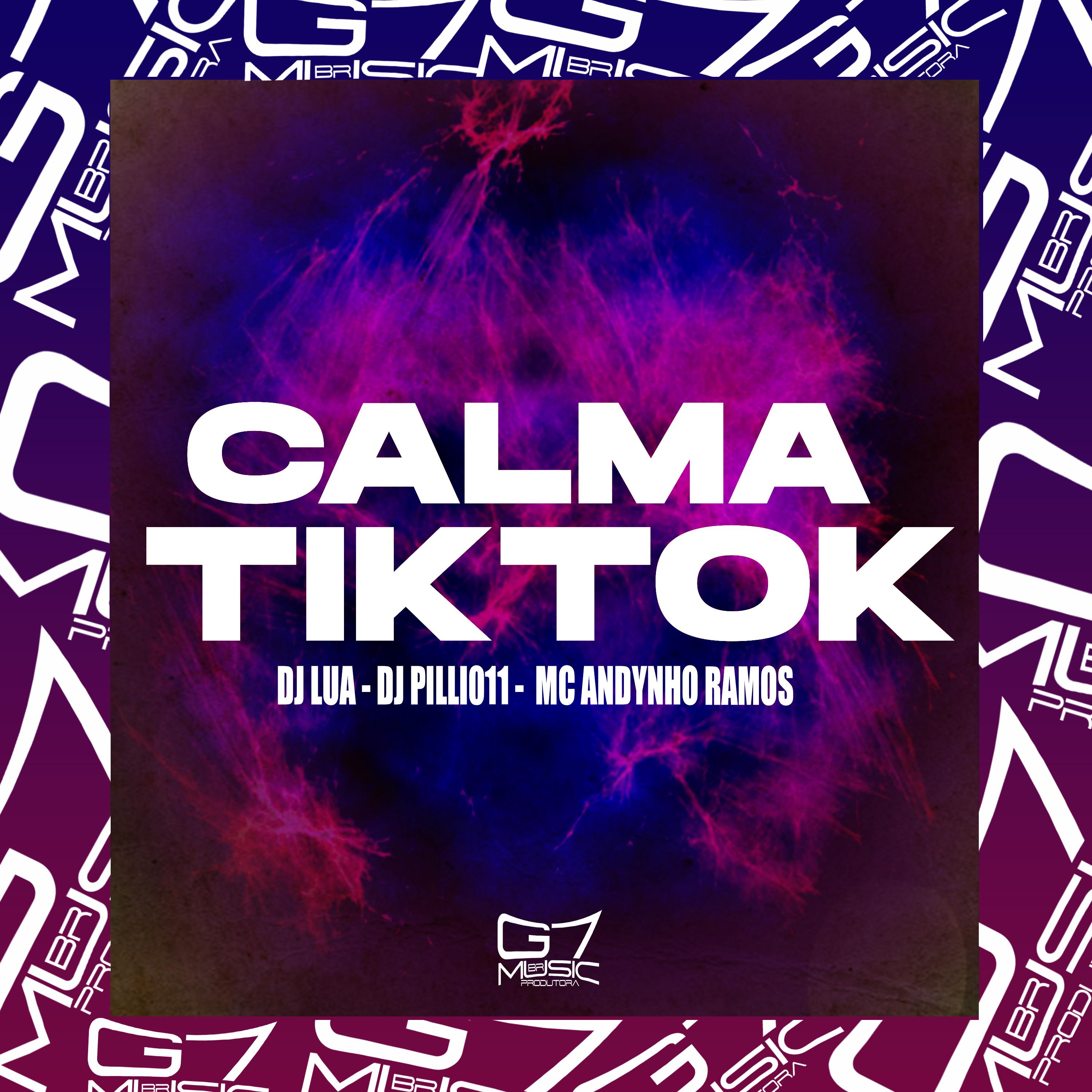 Постер альбома Calma Tiktok