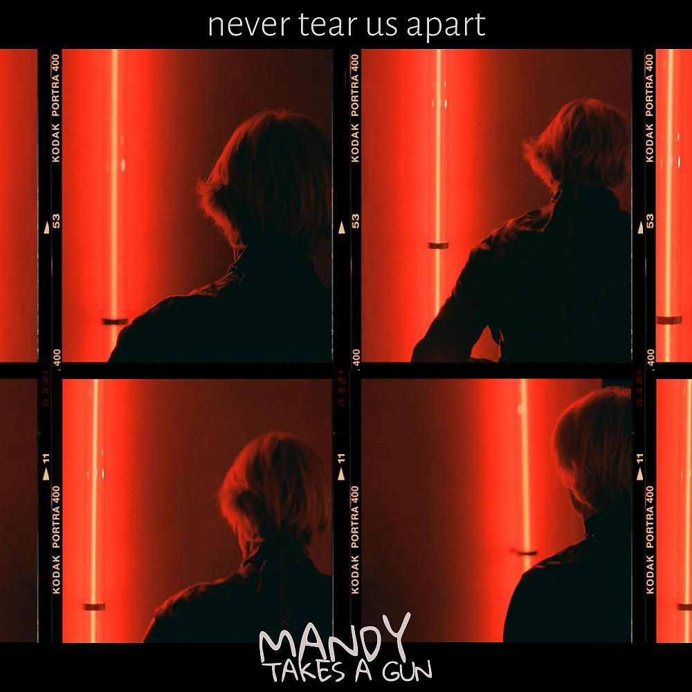 Постер альбома Never Tear Us Apart