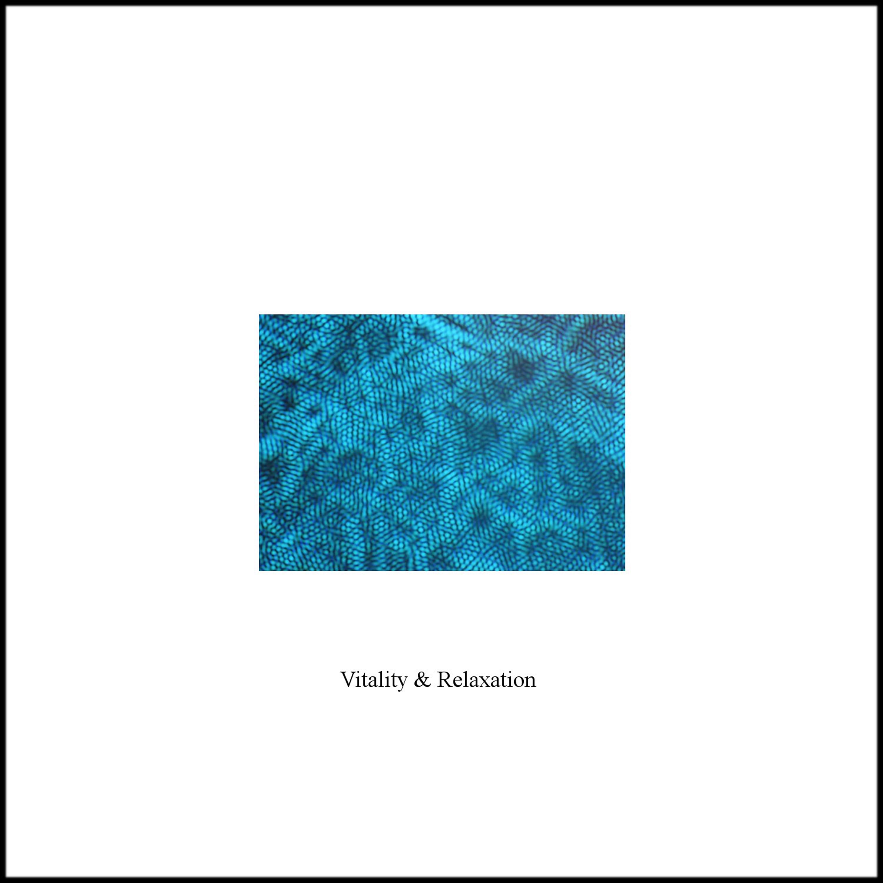 Постер альбома Vitality and Relaxation - Single