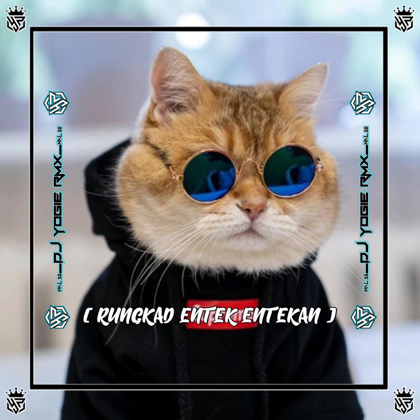 Постер альбома DJ RUNGKAD ENTEK ENTEKAN JEDAG JEDUG