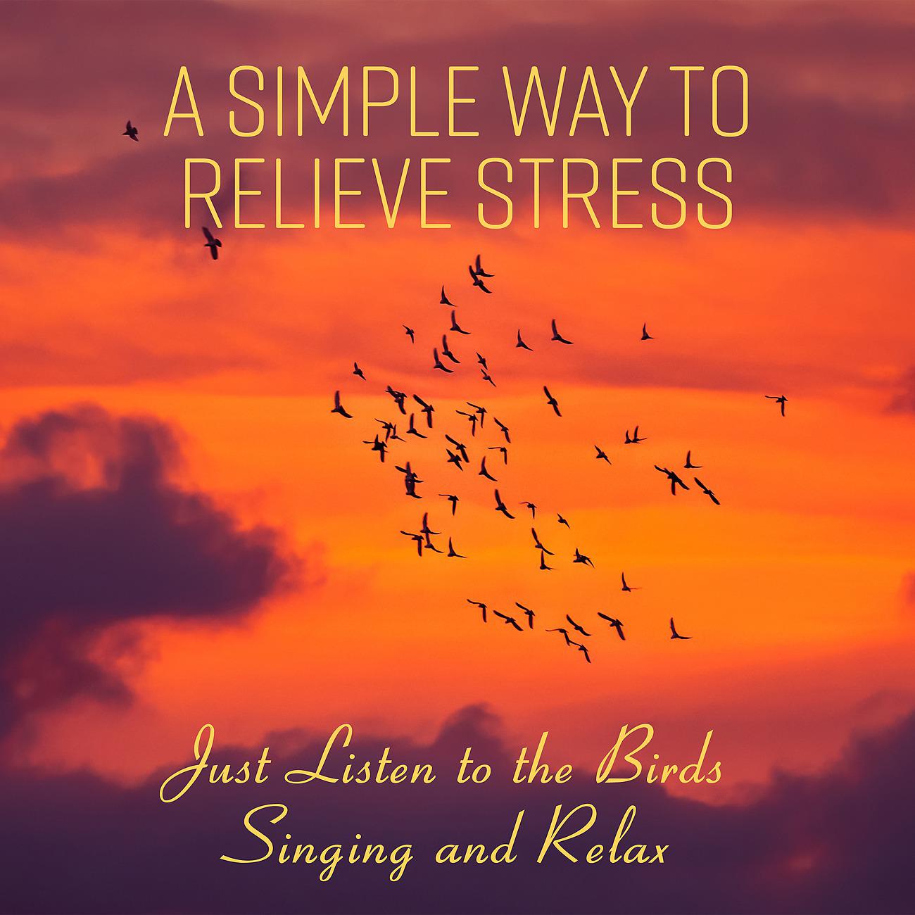 Постер альбома A Simple Way to Relieve Stress Just Listen to the Birds Singing and Relax (Meditation, Mindfulness, Relief)