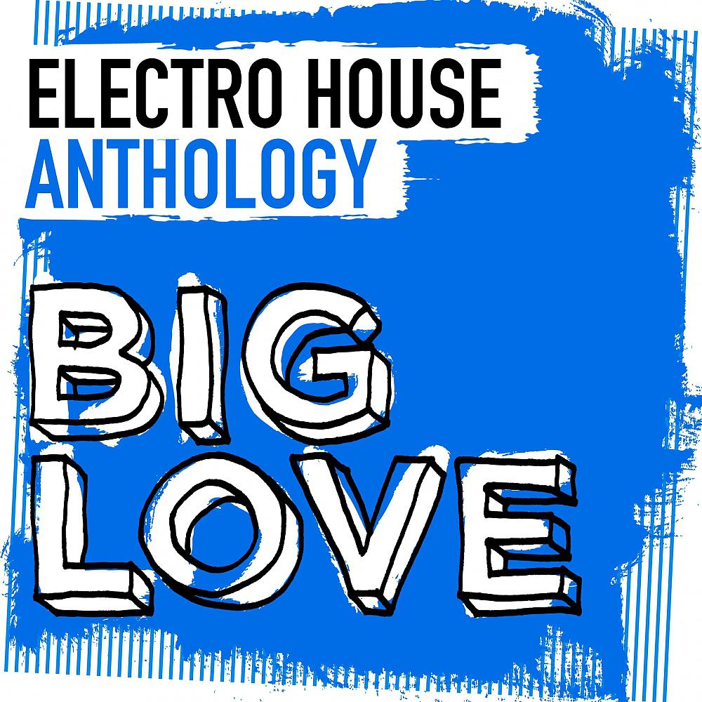 Постер альбома Big Love Electro House Anthology