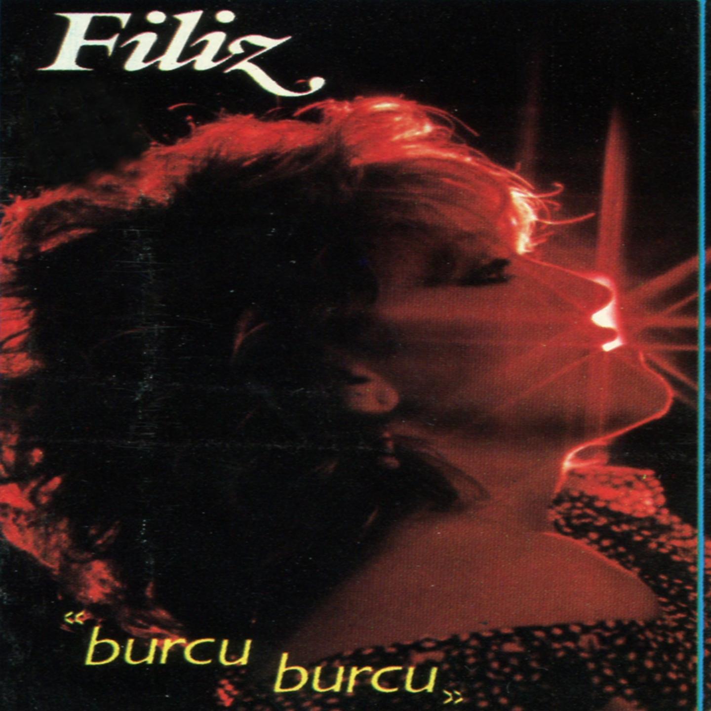 Постер альбома Burcu Burcu