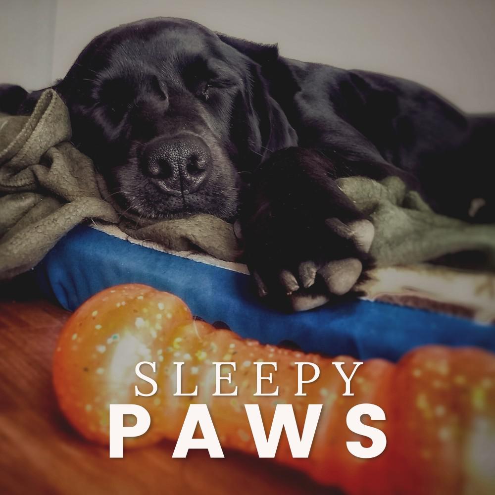 Постер альбома Sleepy Paws