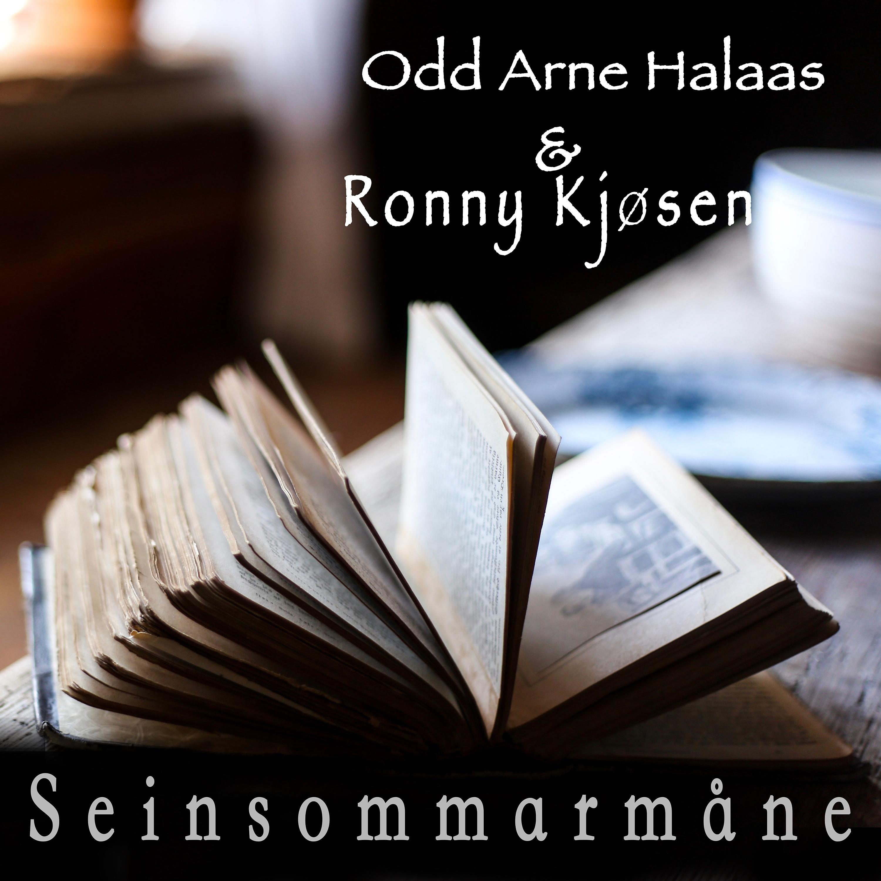Постер альбома Seinsommarmåne