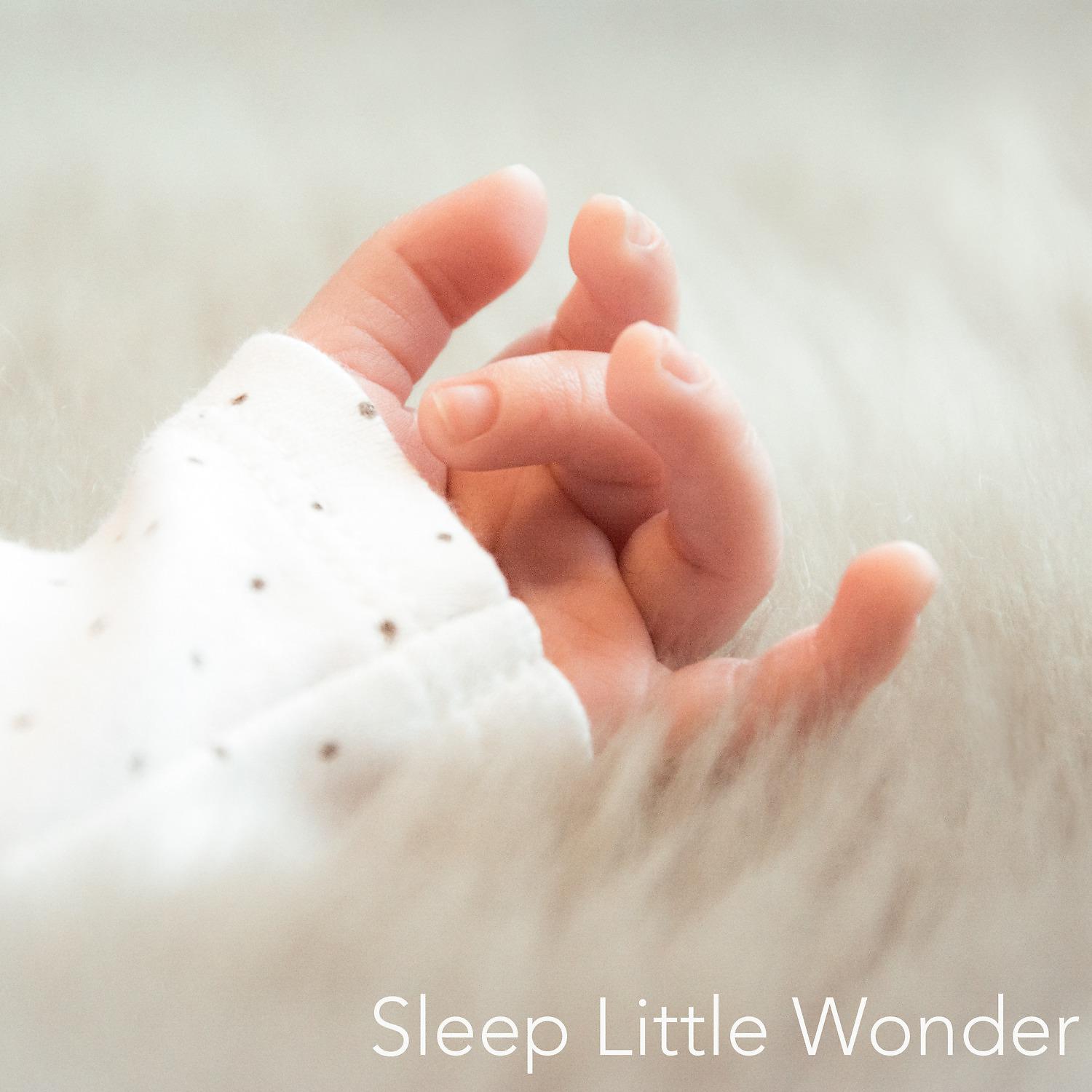 Постер альбома Sleep Little Wonder