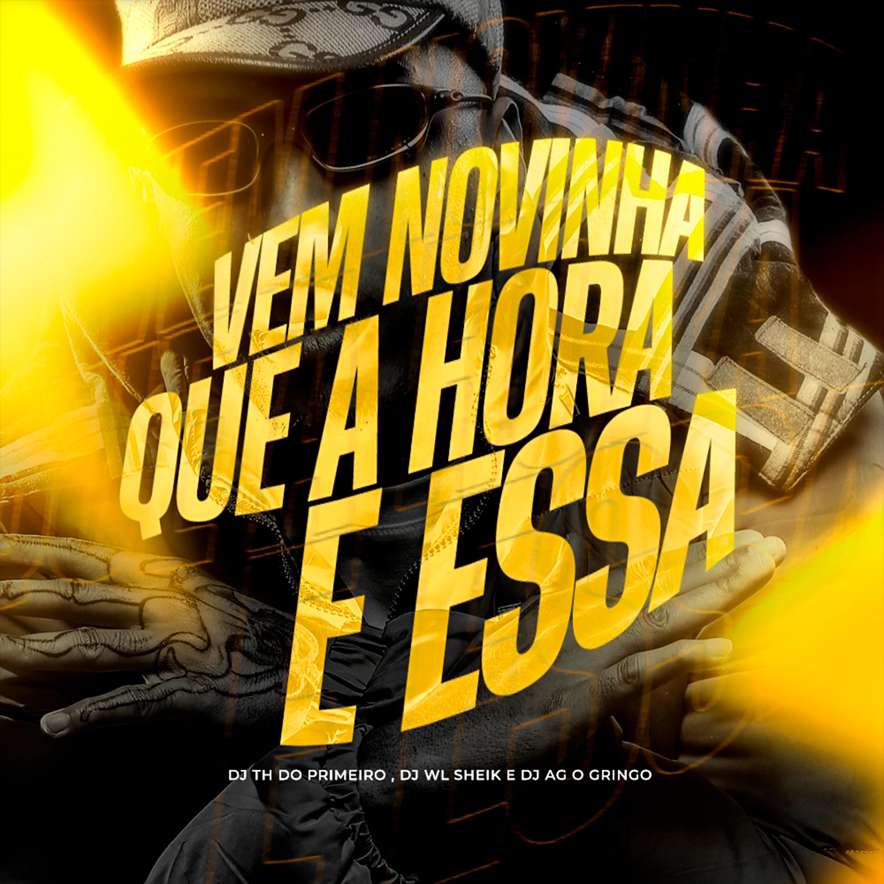 Постер альбома Vem Novinha Que a Hora É Essa