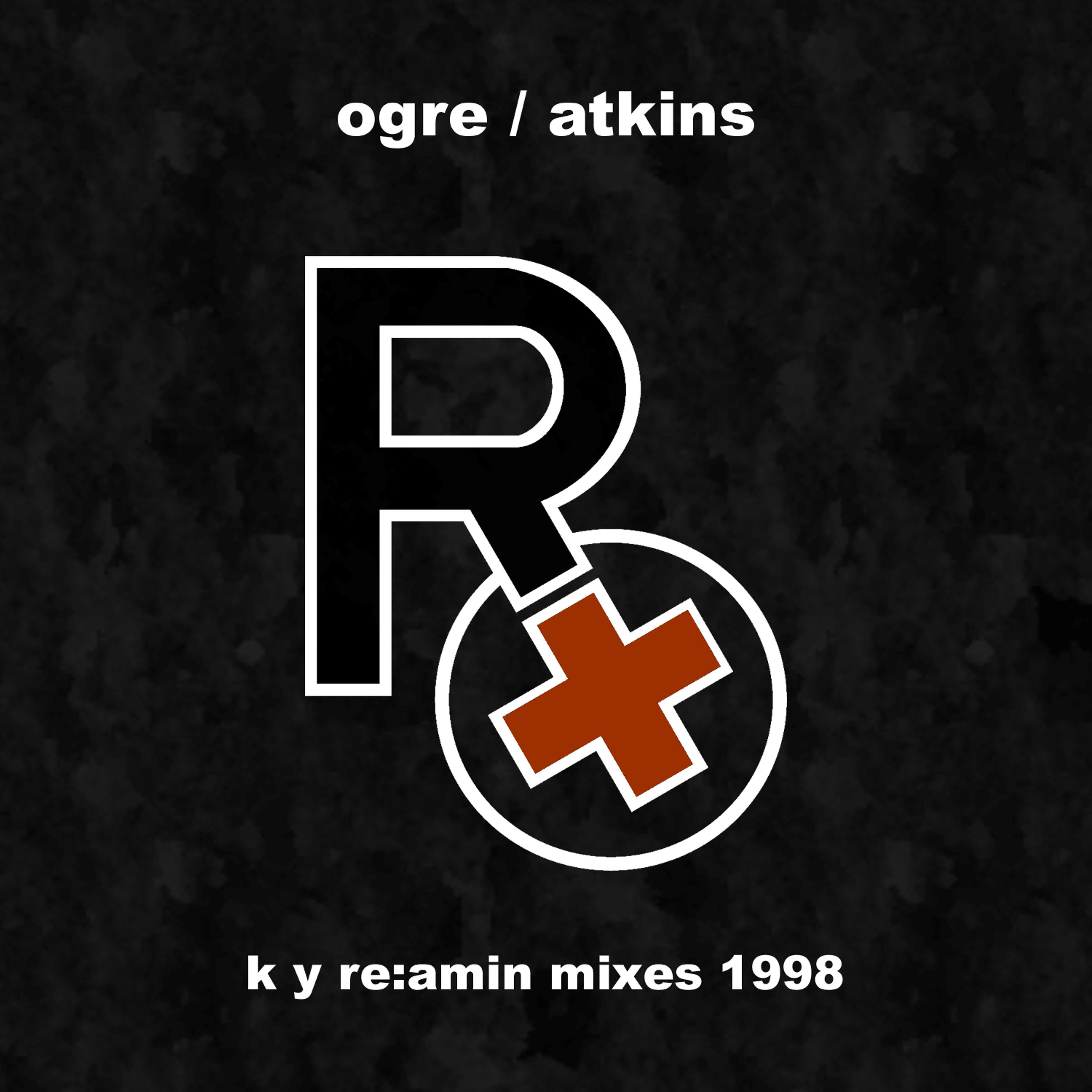 Постер альбома K Y Re:amin Mixes