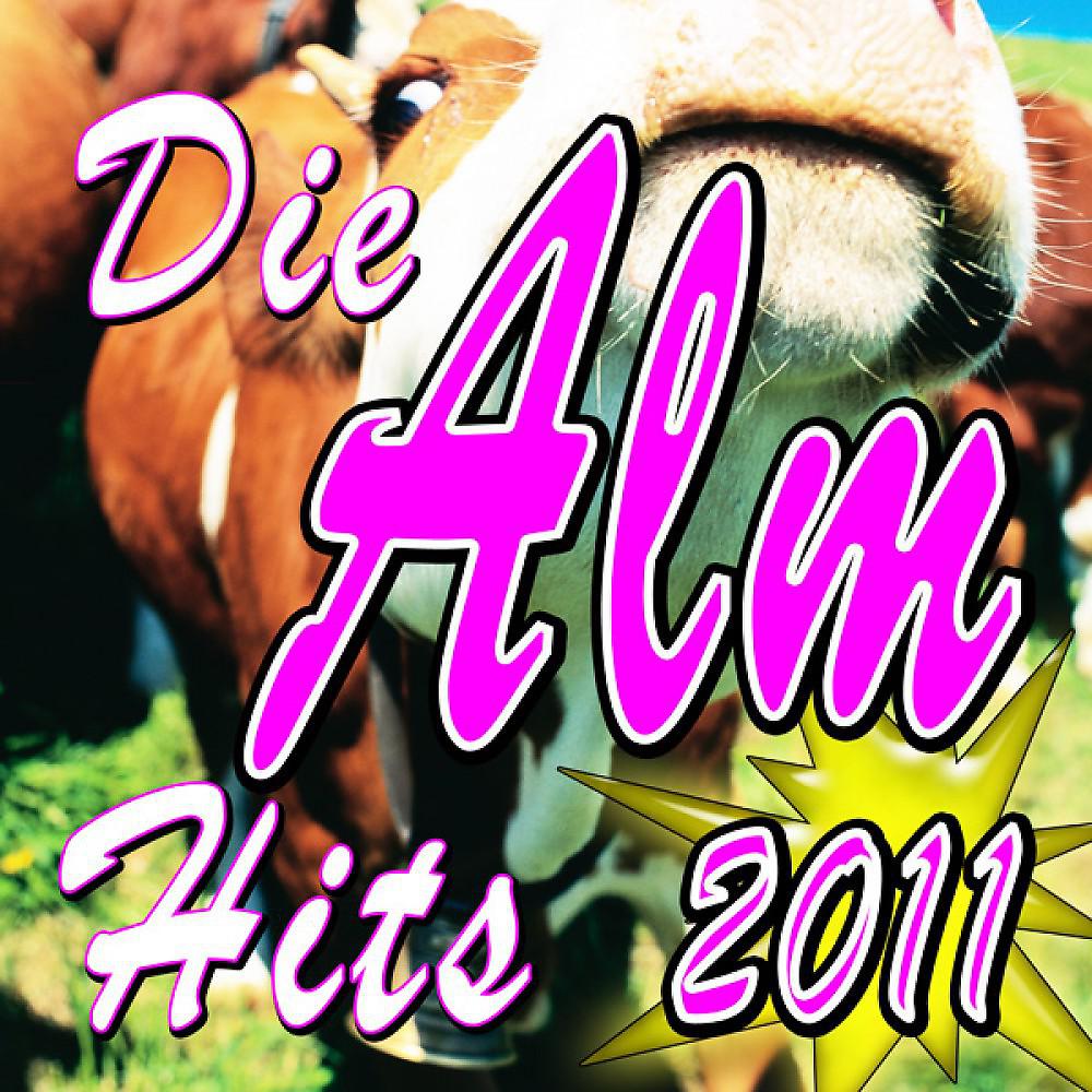 Постер альбома Die Alm Hits 2011