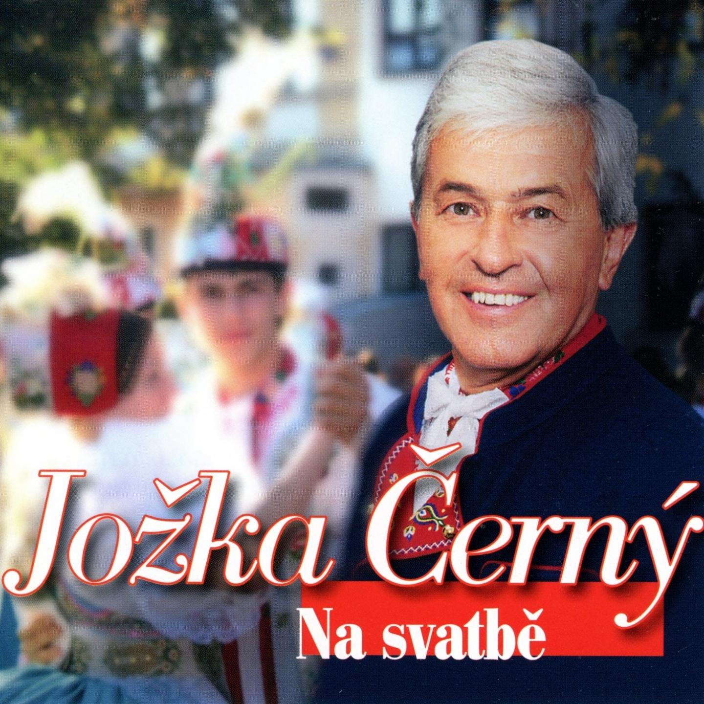 Постер альбома Na Svatbě