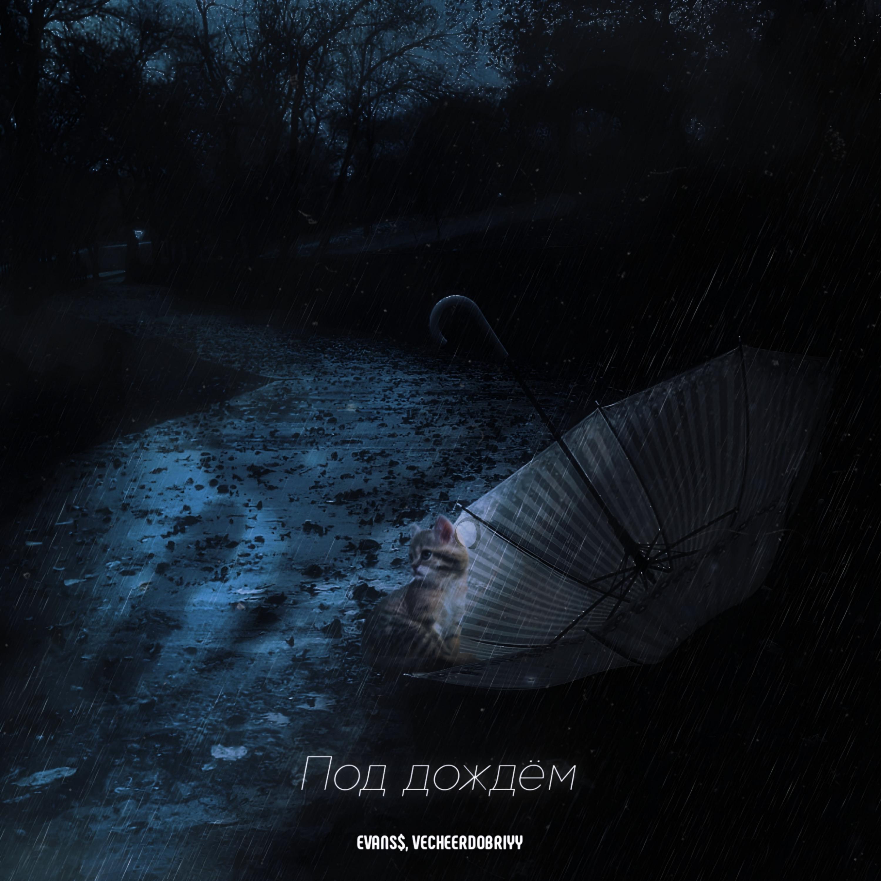 Постер альбома Под дождём