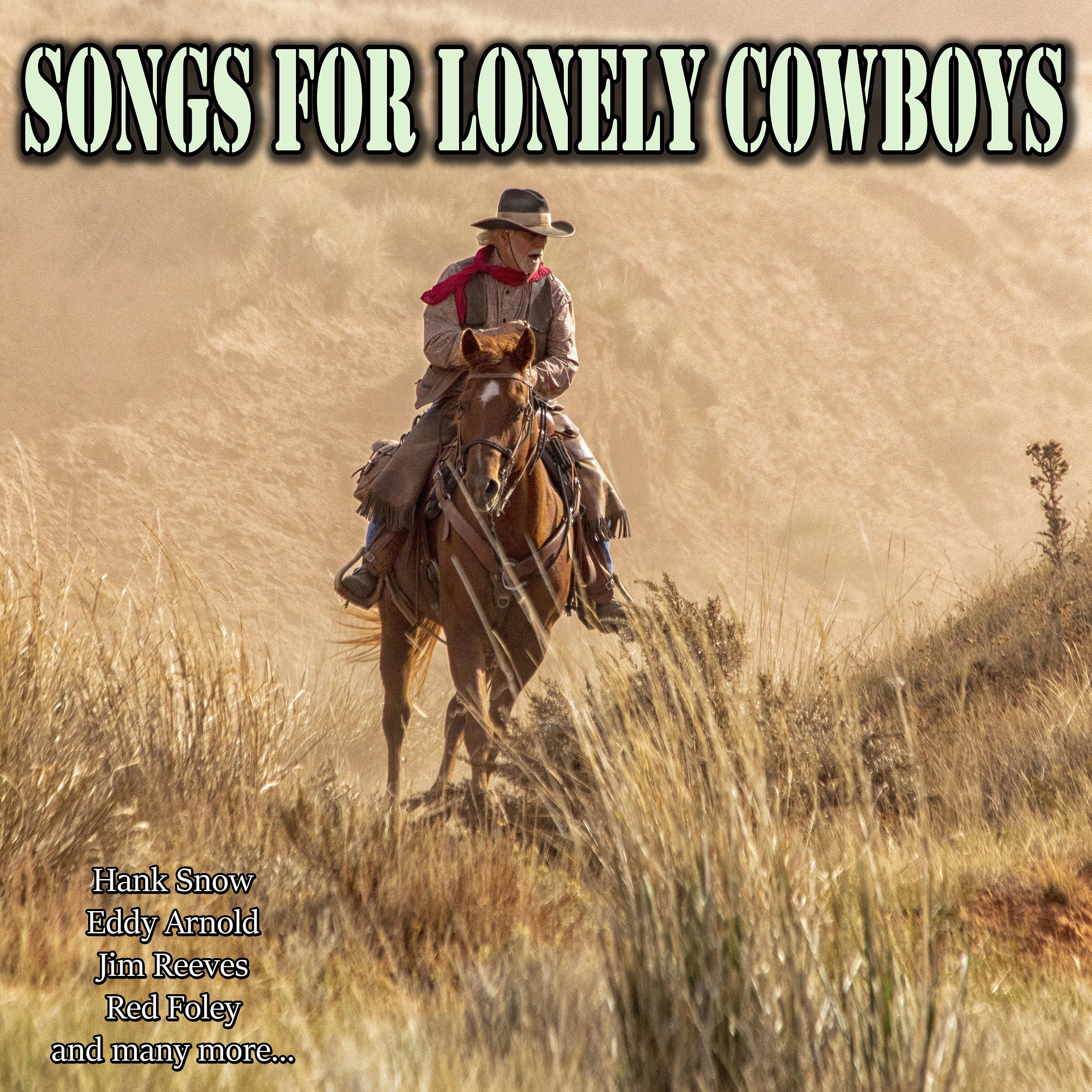 Постер альбома Songs For Lonely Cowboys