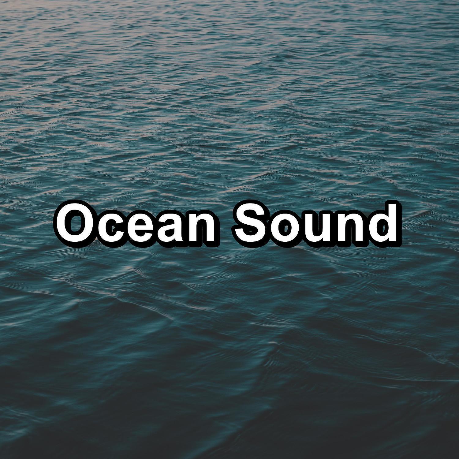 Постер альбома Ocean Sound