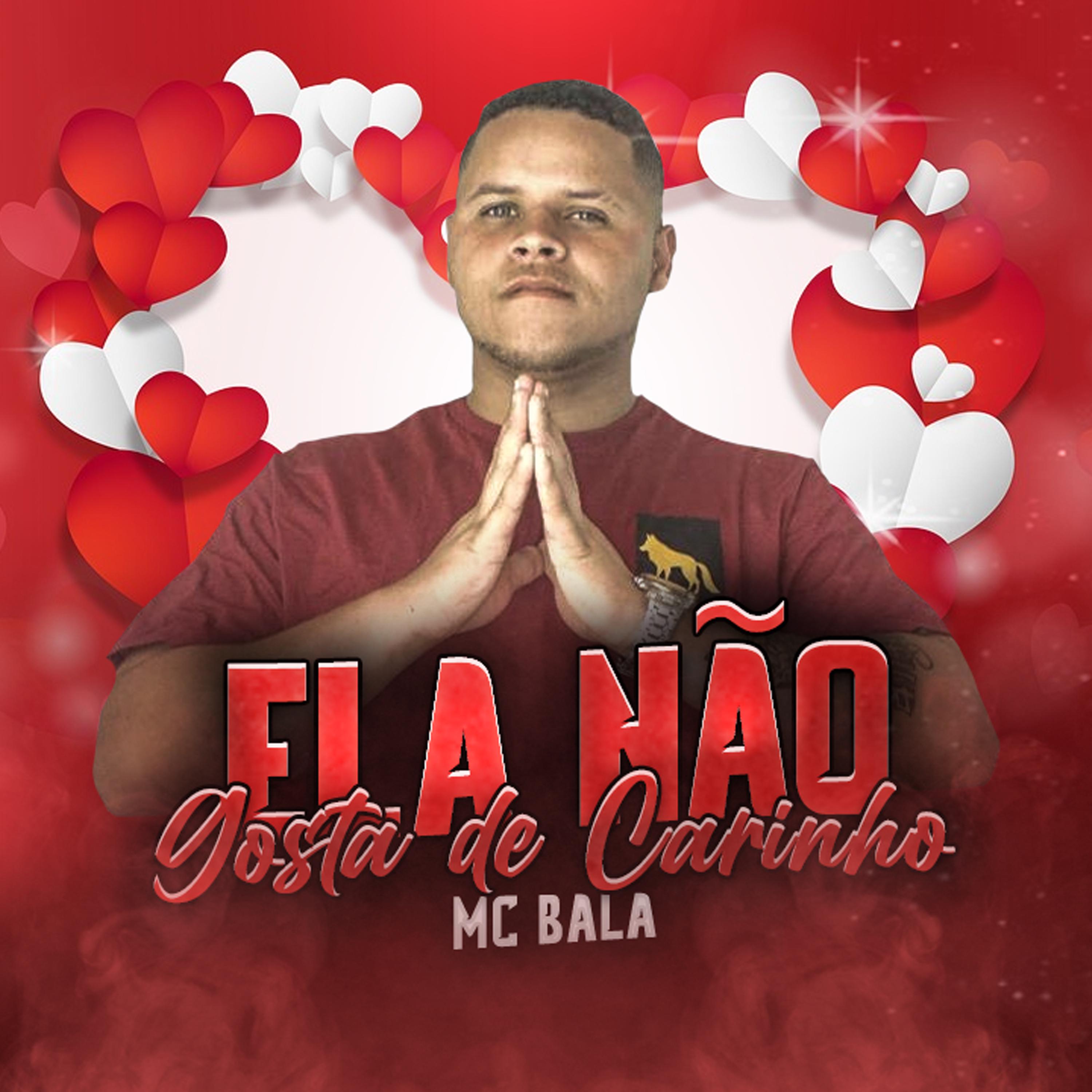 Постер альбома Ela Não Gosta de Carinho