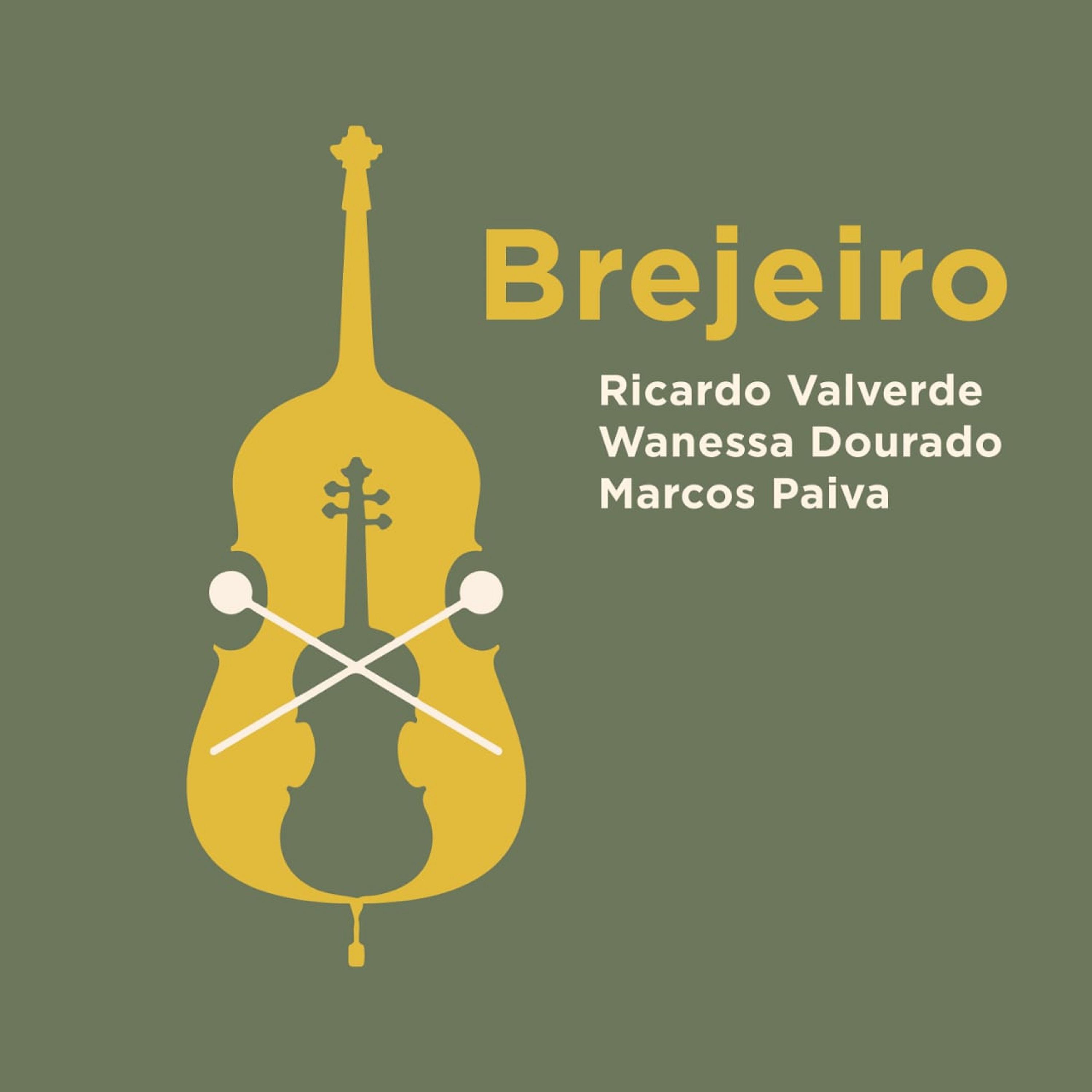 Постер альбома Brejeiro